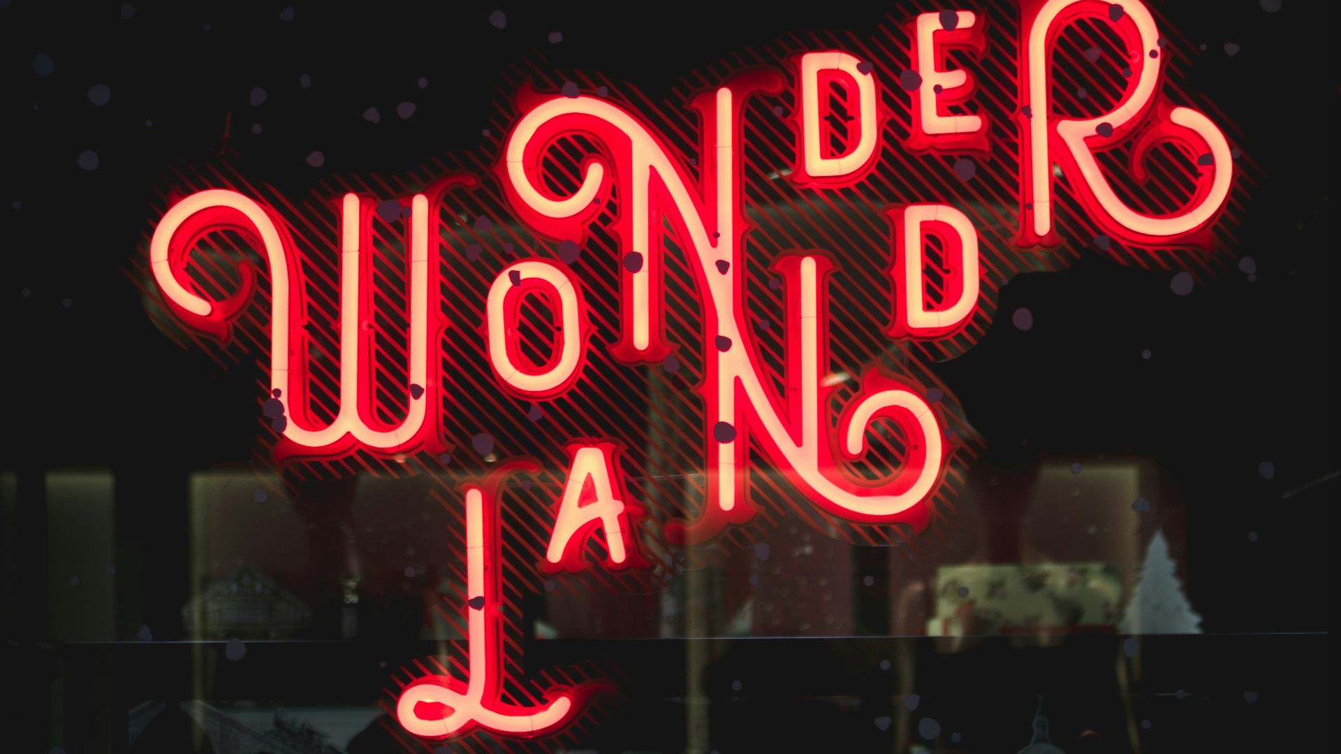 Wonderland neon signage at night