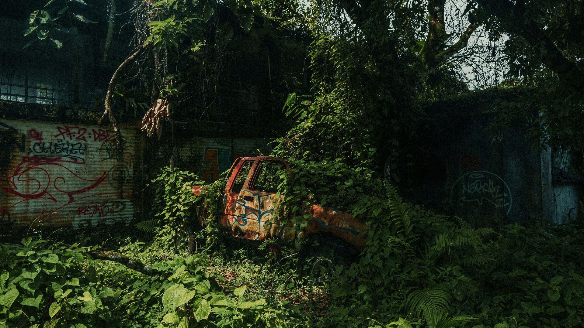 A large pile of green plants next to a building