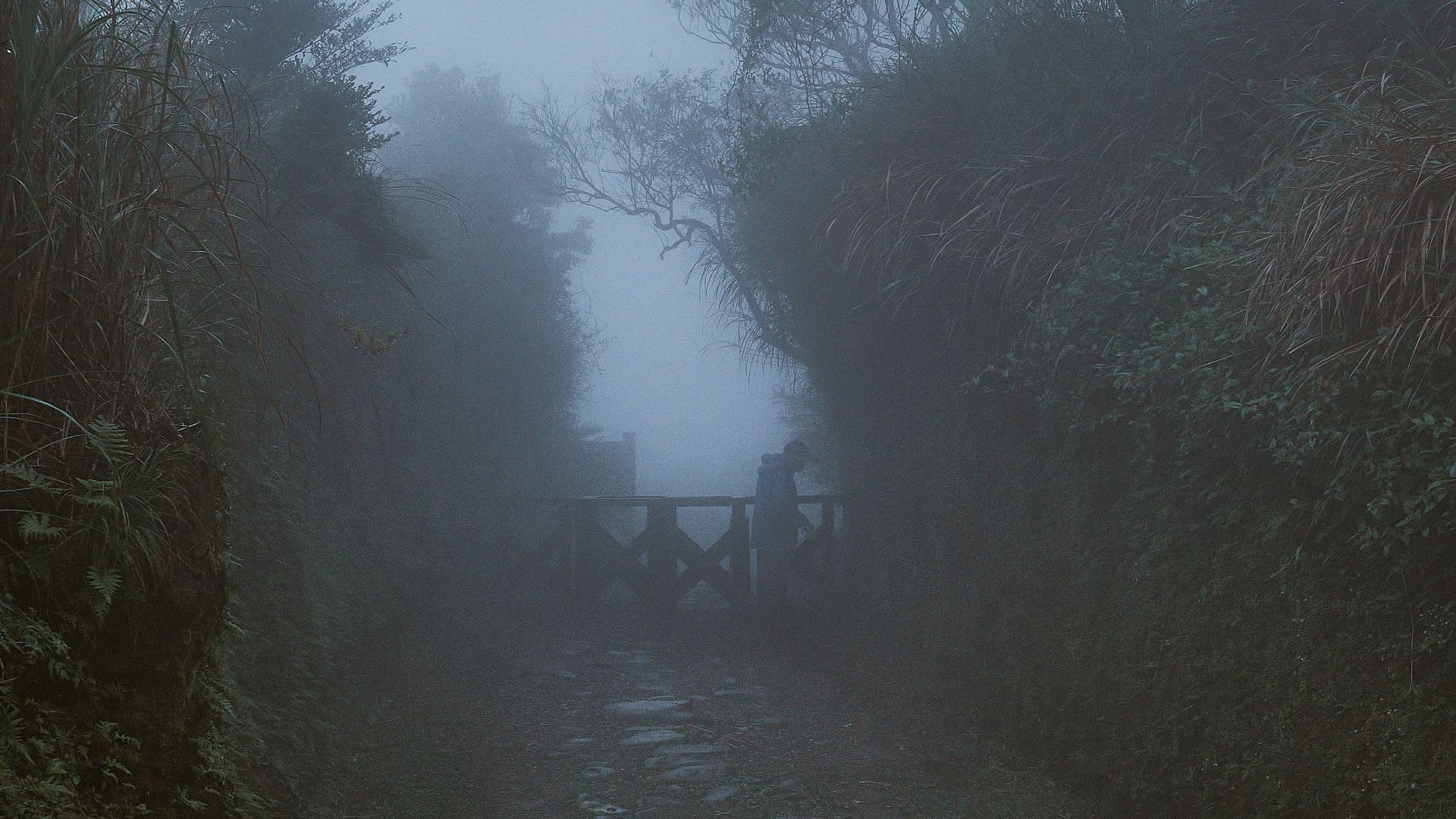 a foggy path leading to a wooden bridge