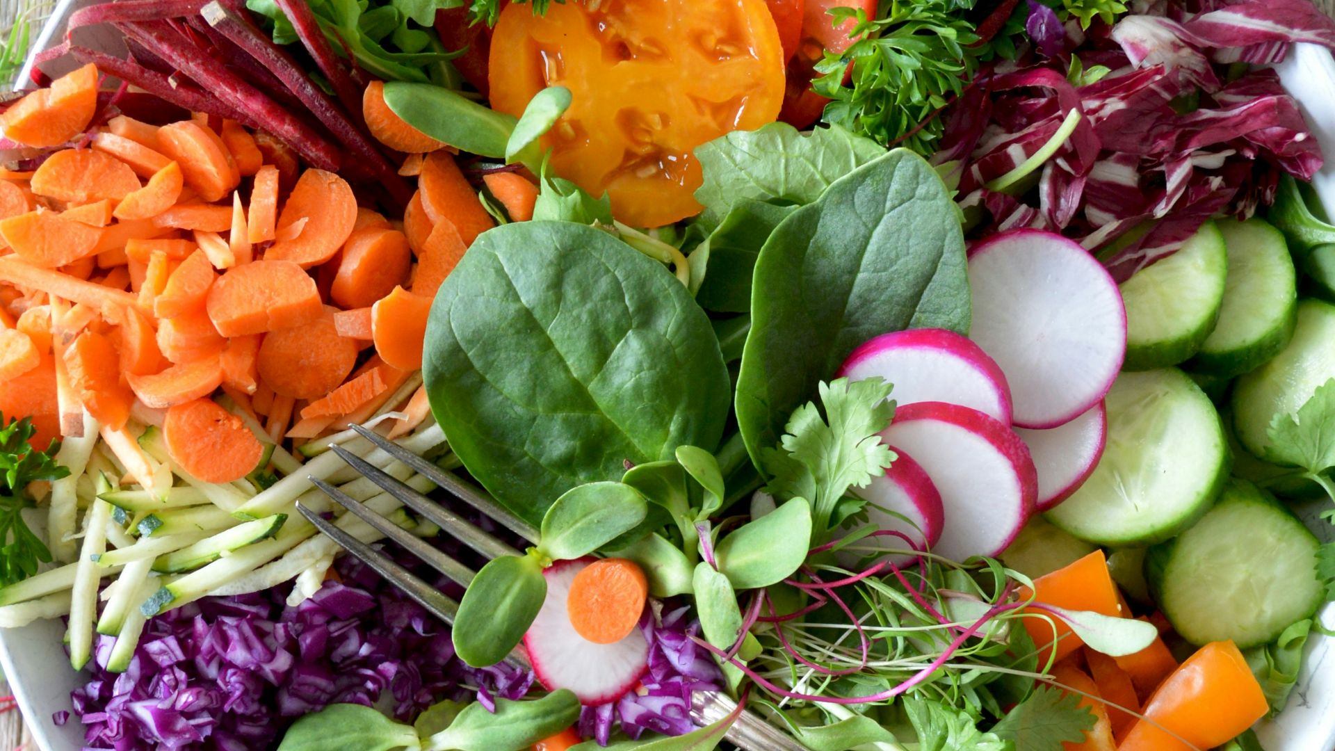 close-up photo of vegetable salad