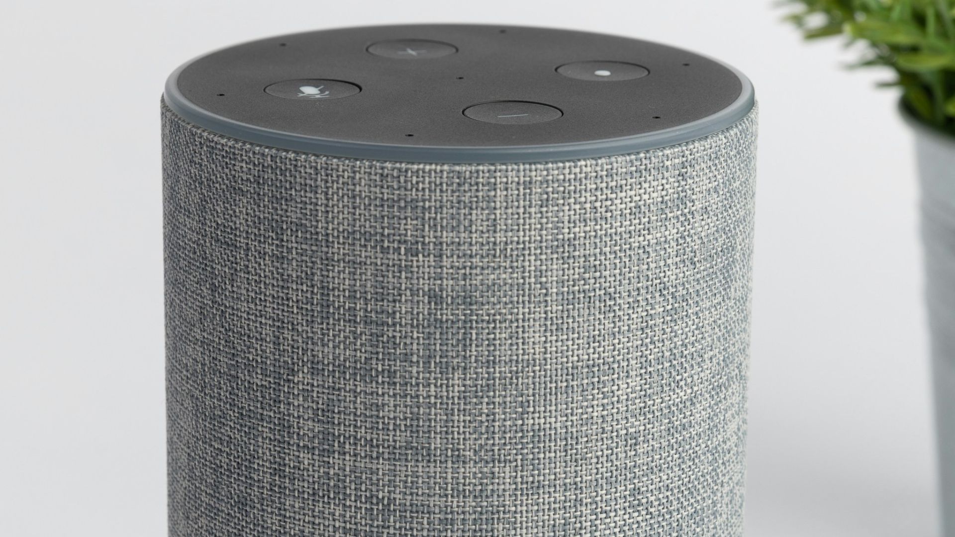 gray Amazon Echo portable speaker
