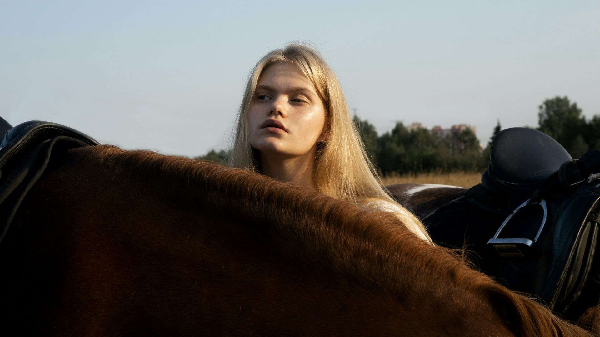 a woman standing next to a brown horse