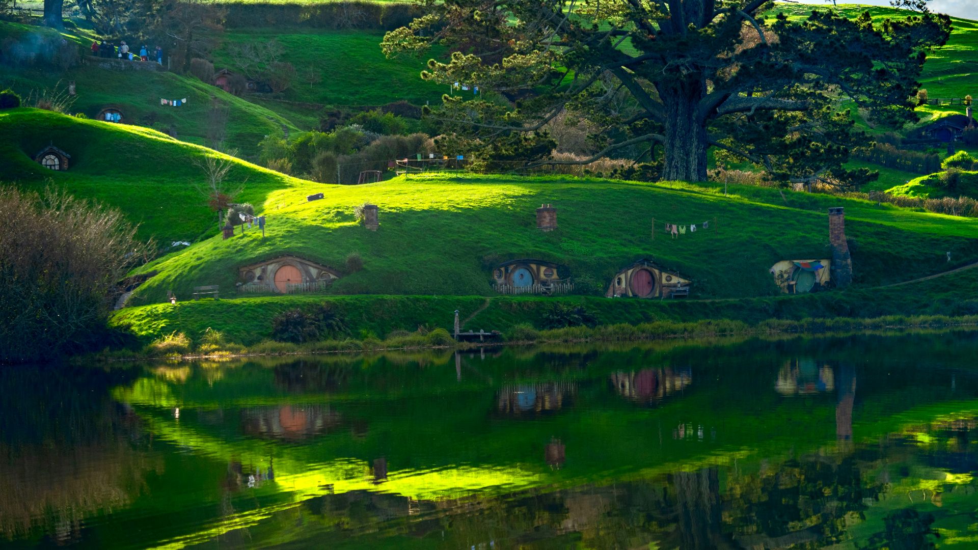 A grassy hill with trees and a body of water