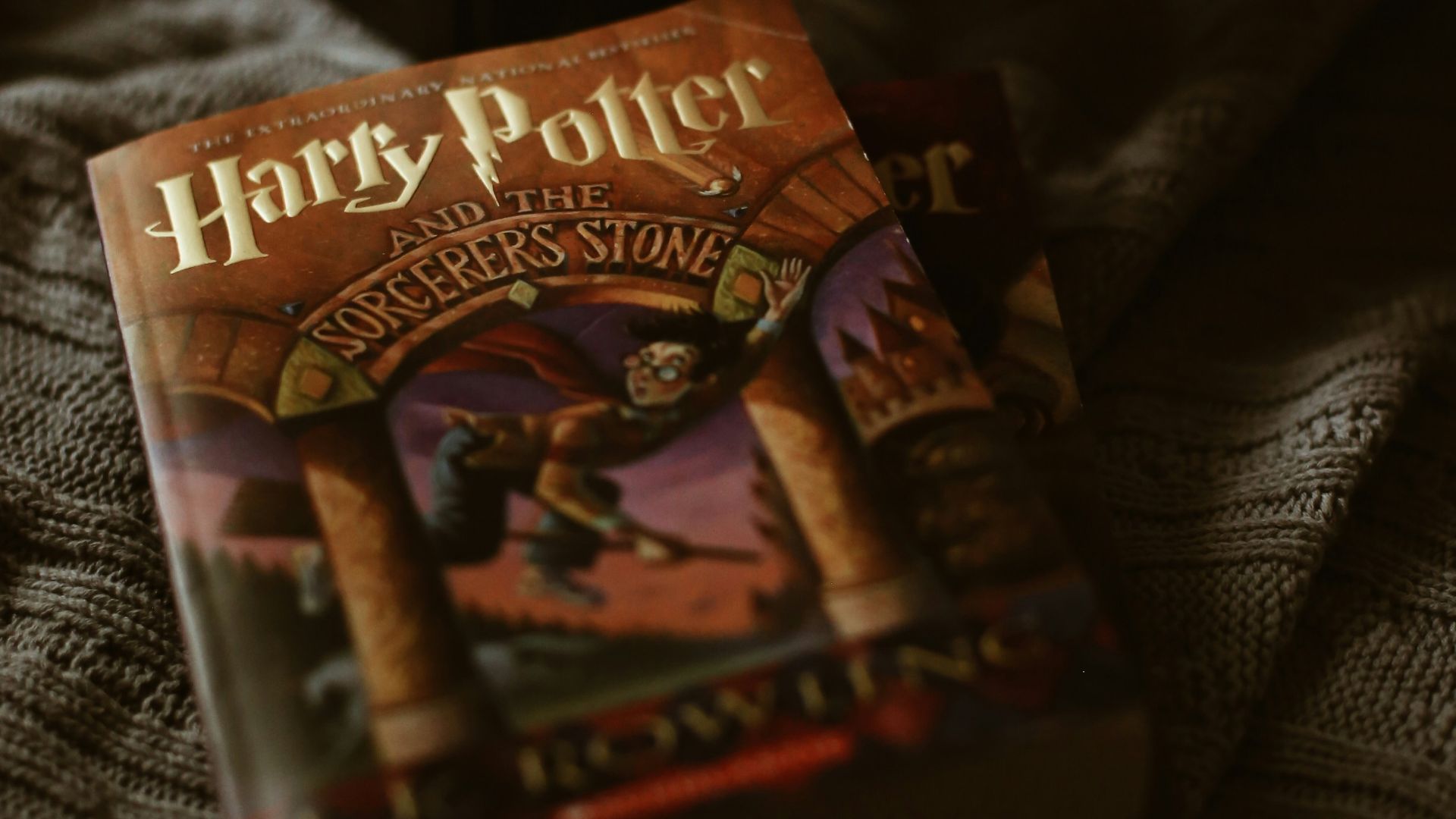 the lion king book on black textile