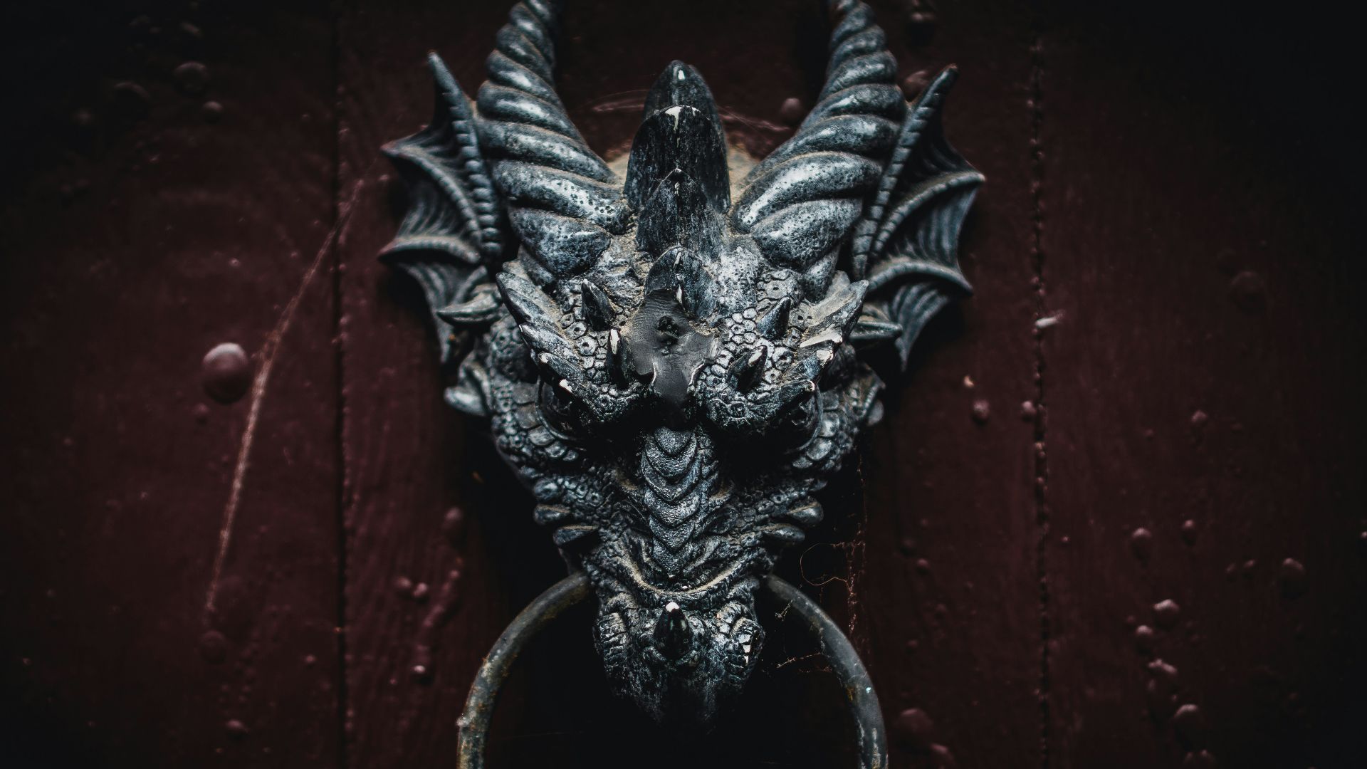 black dragon head wall decor