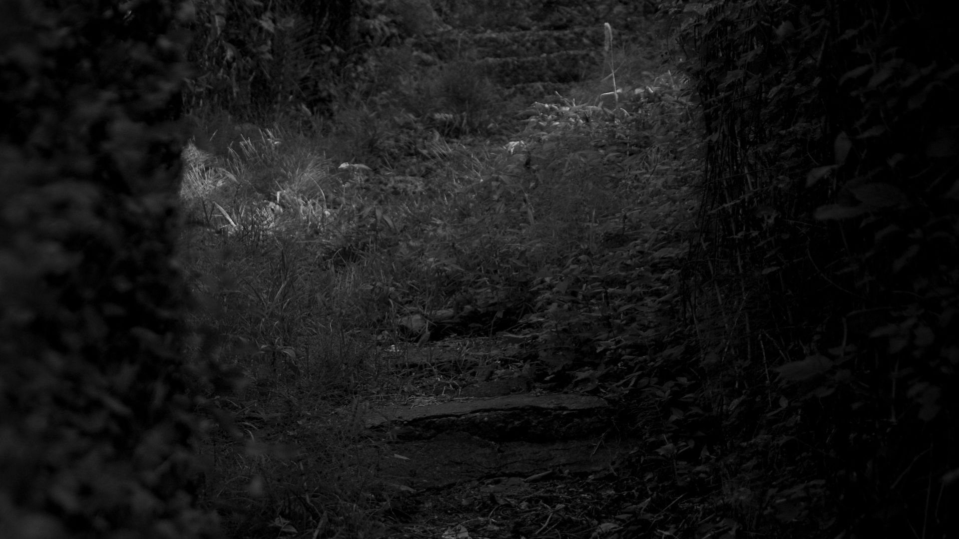 a dark path in the woods with a light at the end
