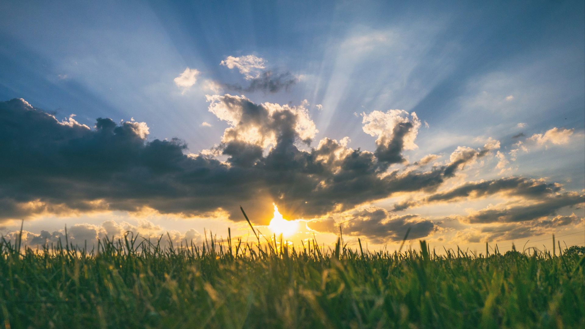 the sun is setting over a field of grass