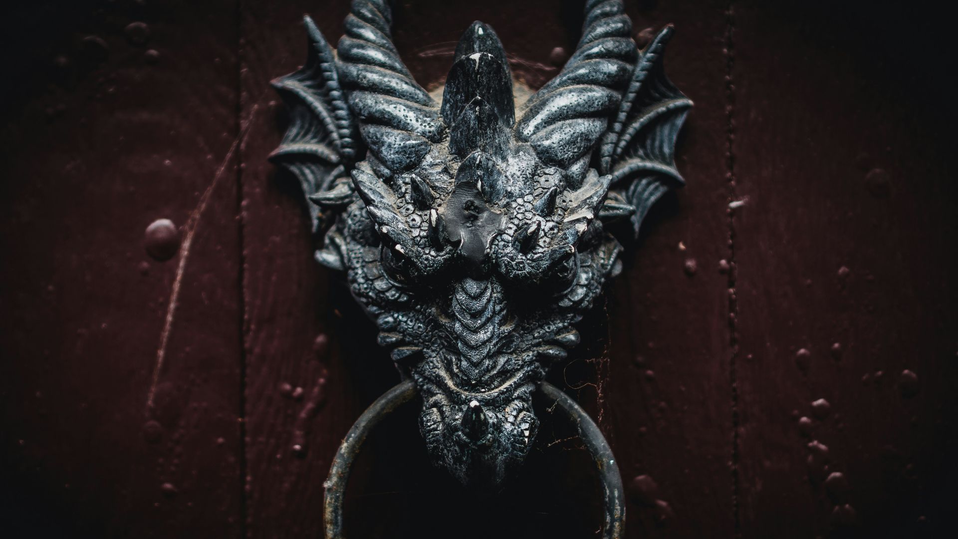 black dragon head wall decor