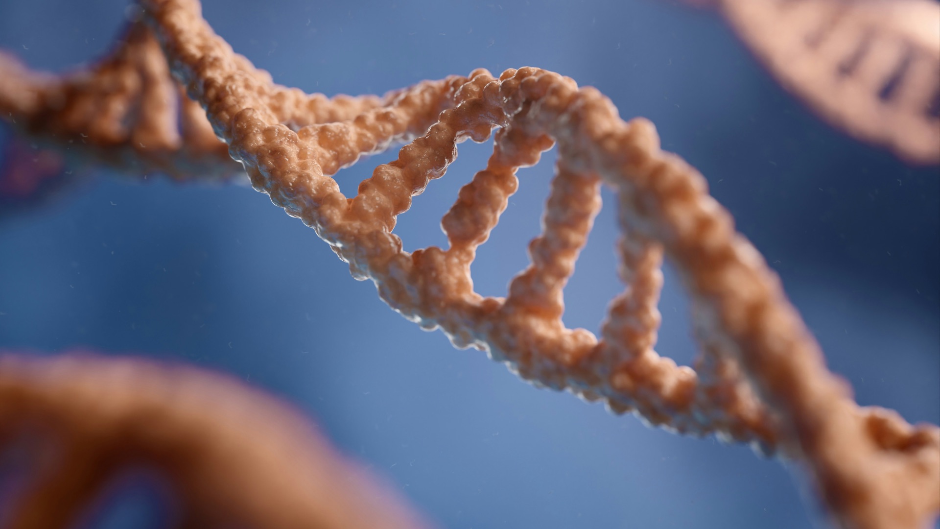 a close up of a single strand of food