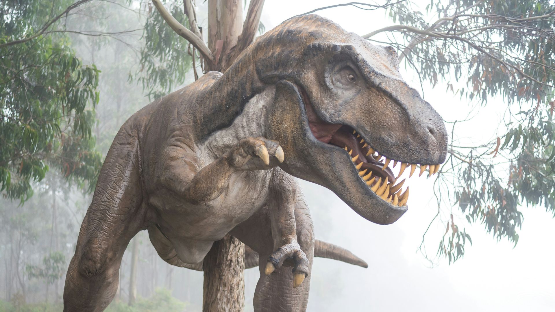 brown dinosaur illustration