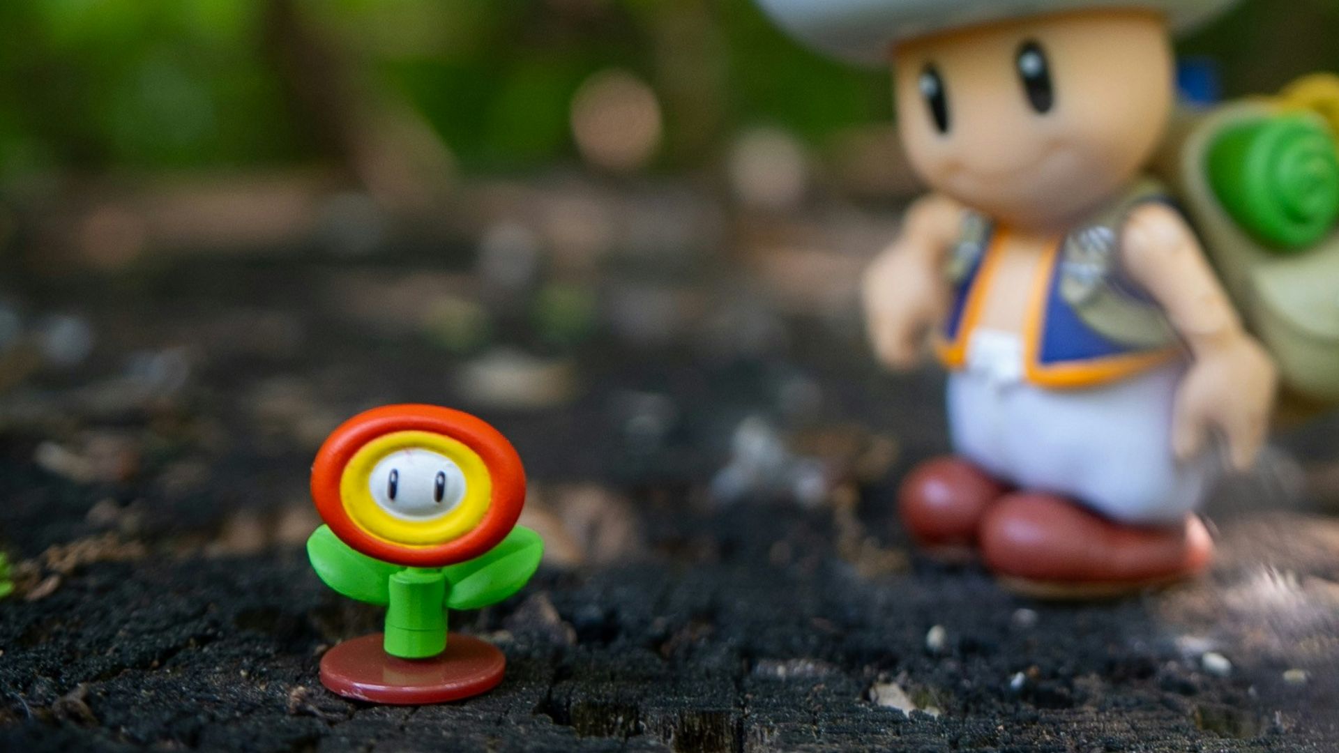 Toad and a fire flower toy in forest