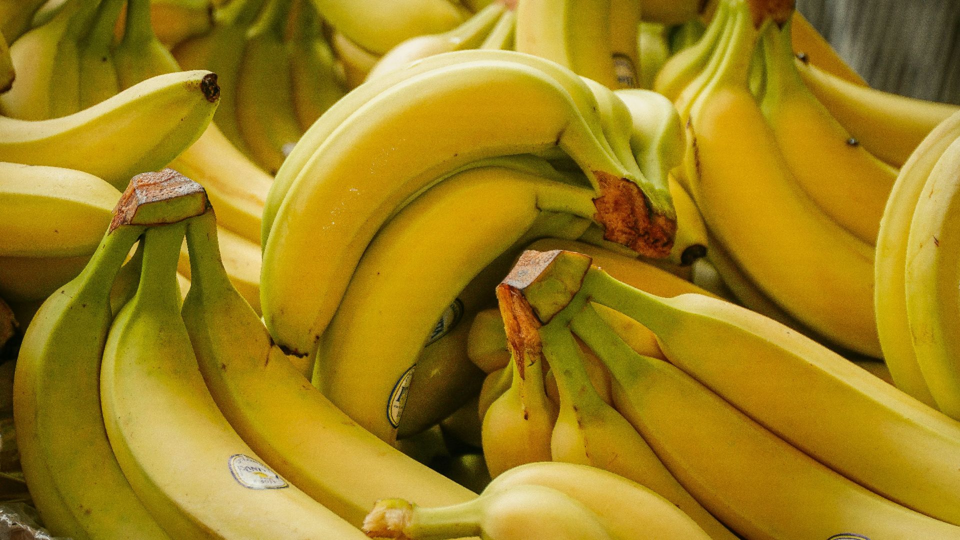 A bunch of yellow bananas ready to eat.