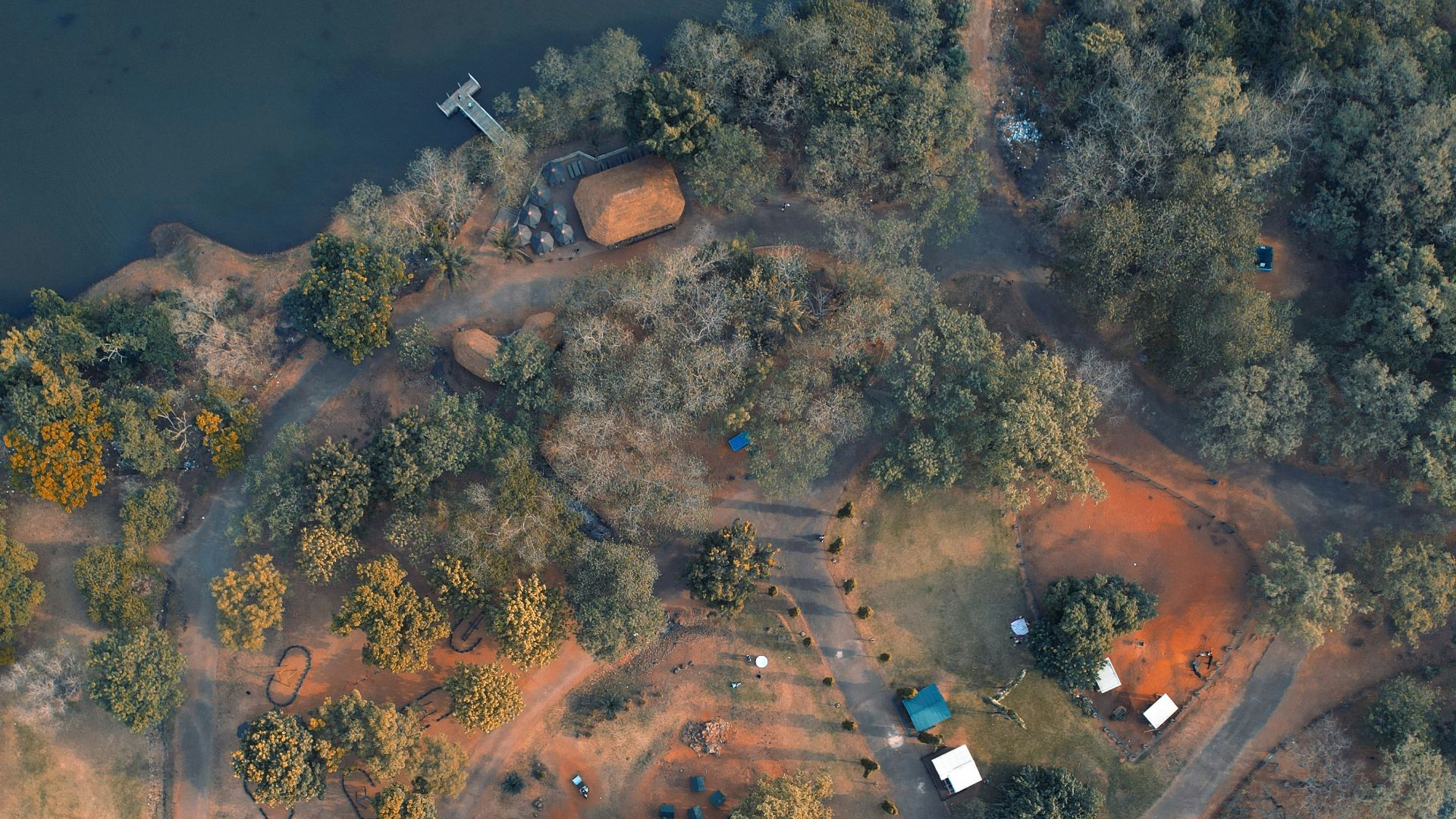 a high angle view of a road and trees