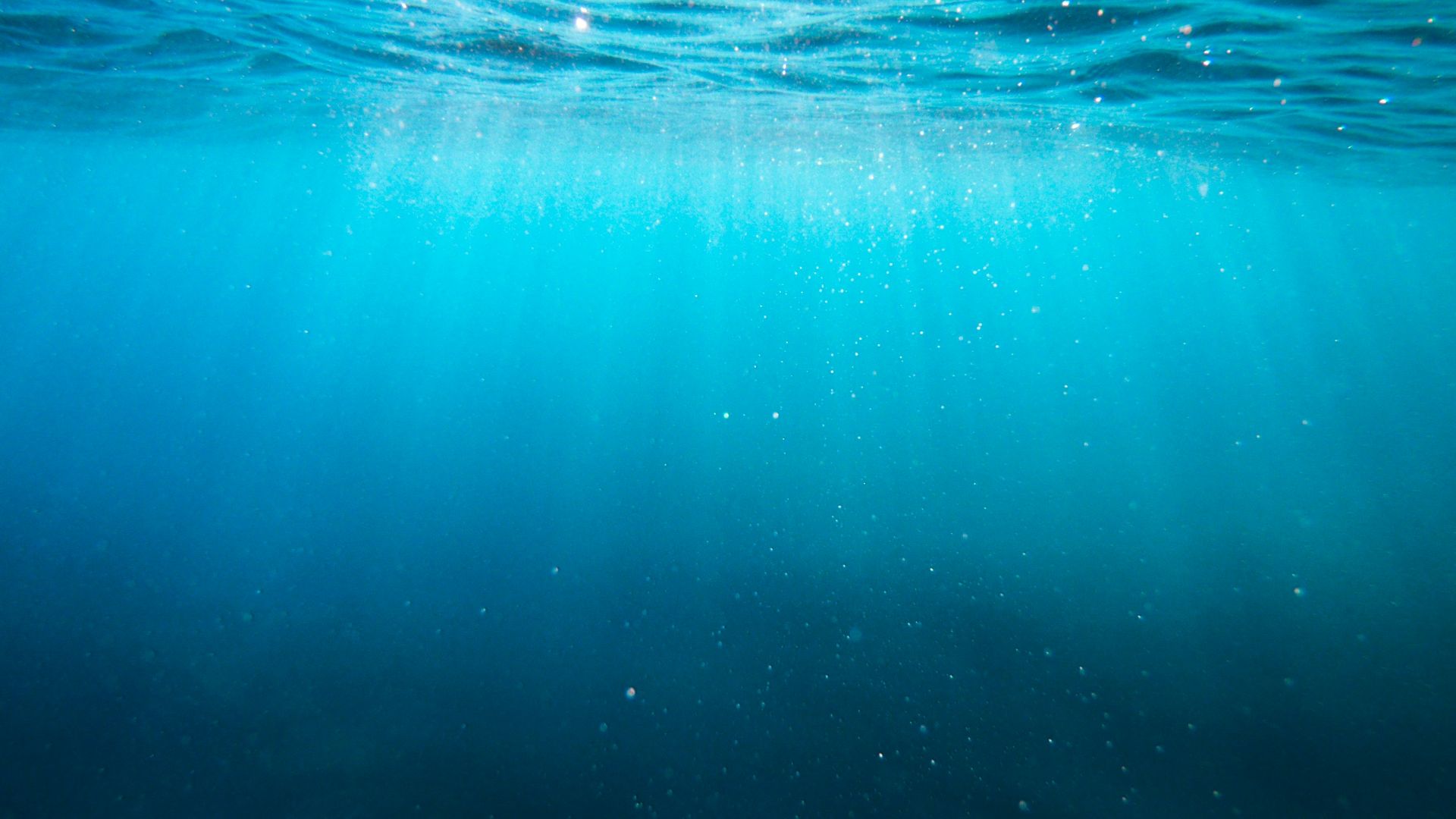 clear blue body of water