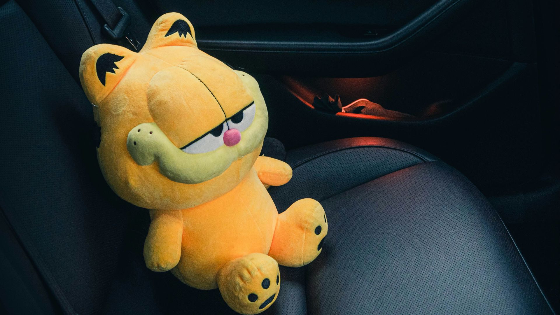 a stuffed animal sitting in the back seat of a car