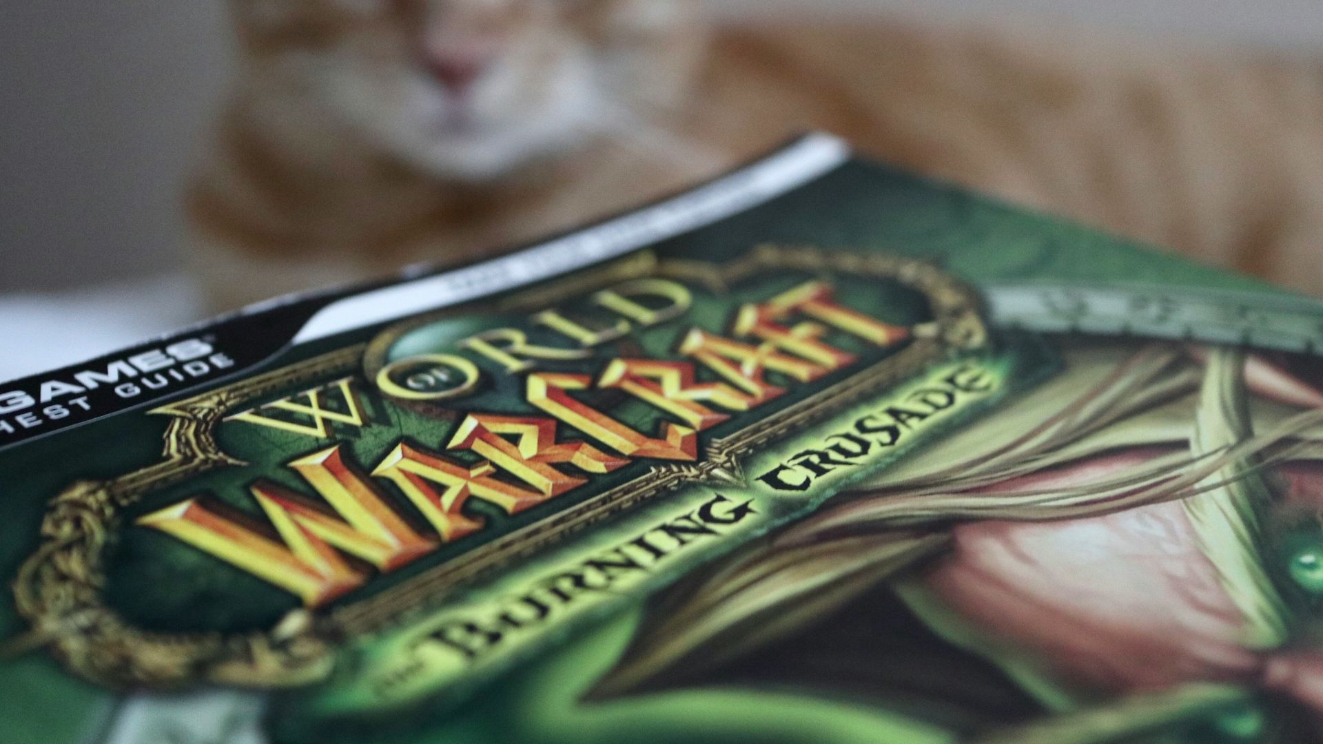 brown tabby cat on green and white textile