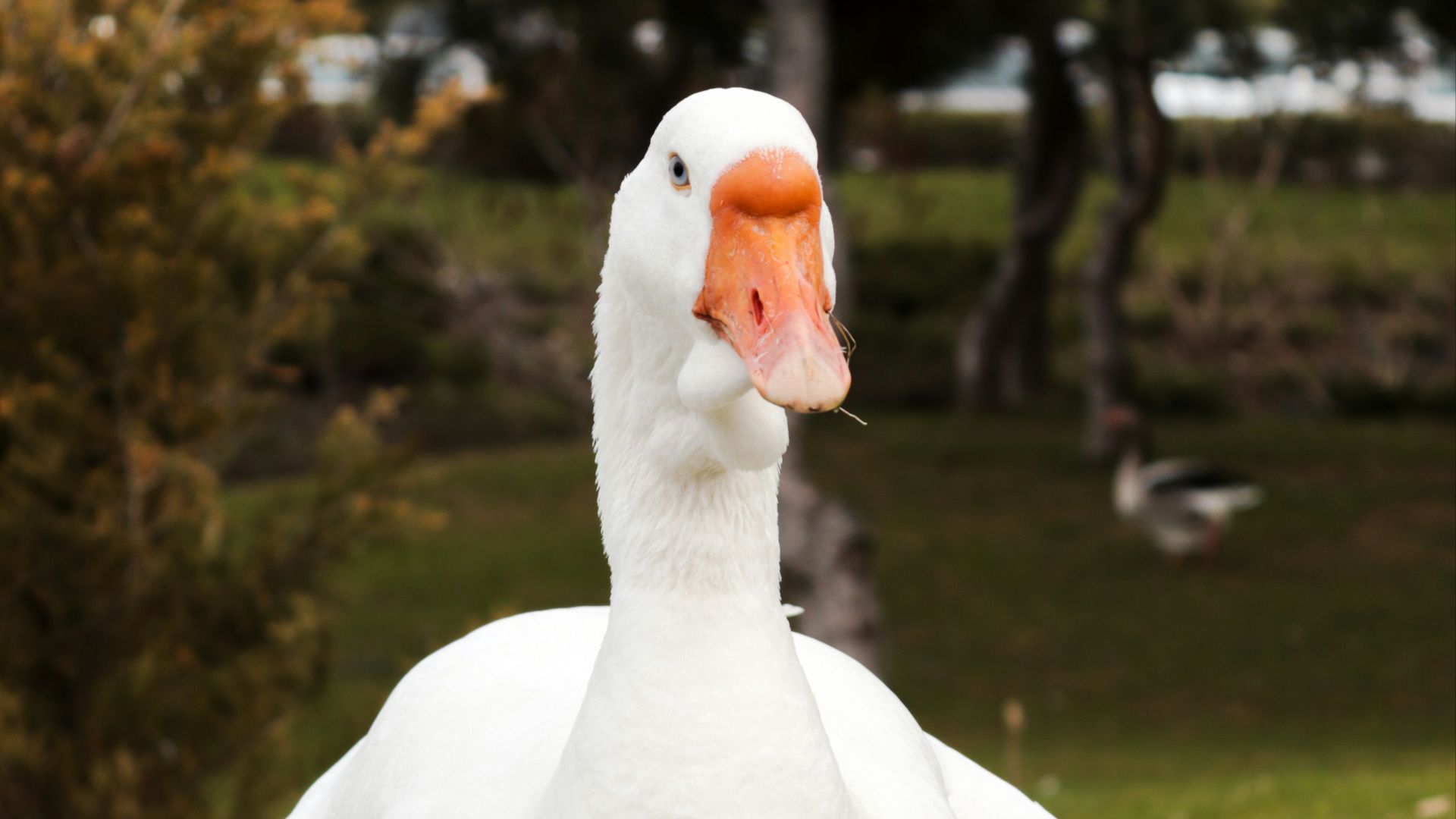 1791225977363c0e254444092579489fd8c458c671898b1409.jpg