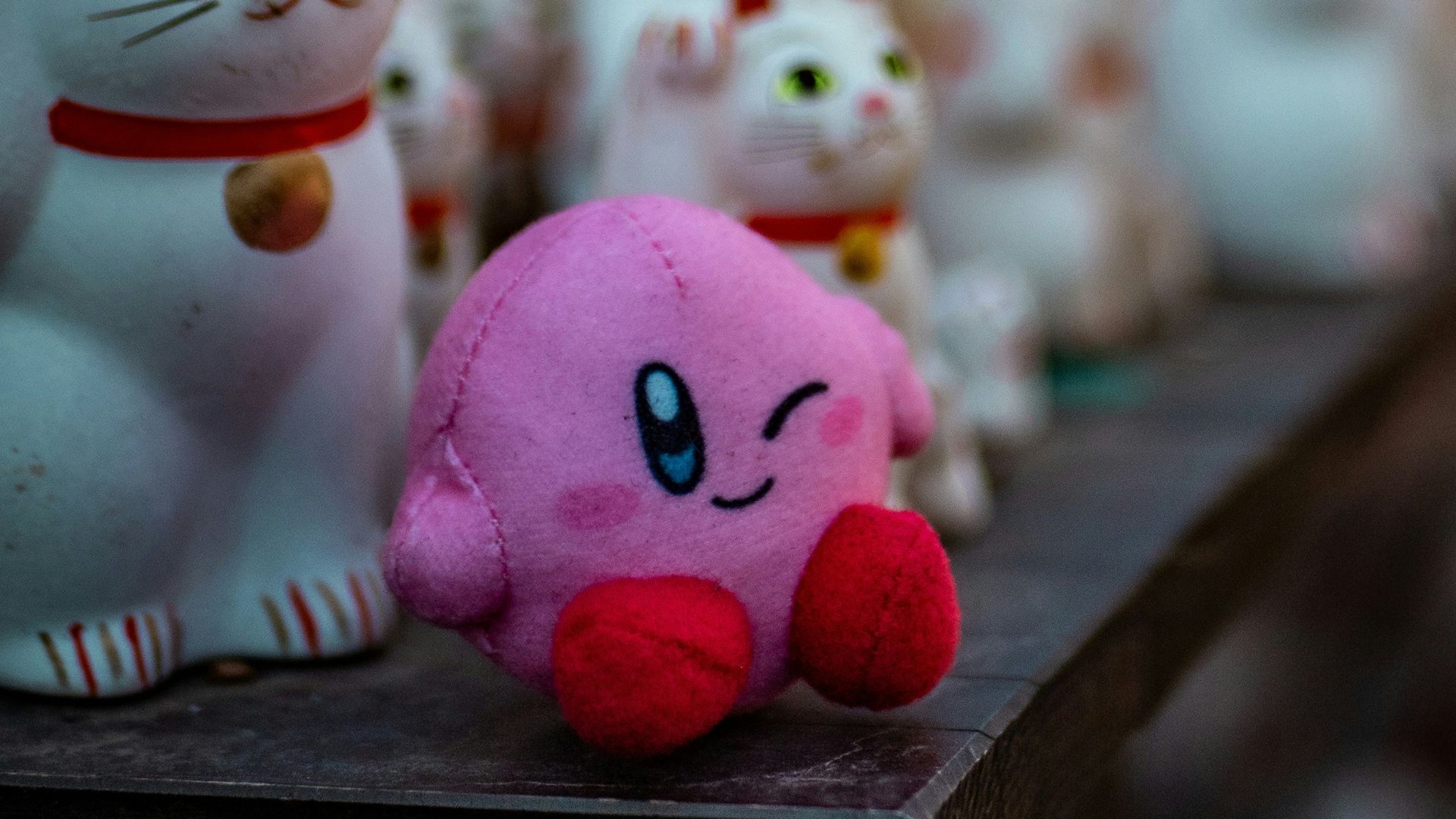 a group of small white cats sitting on top of a shelf