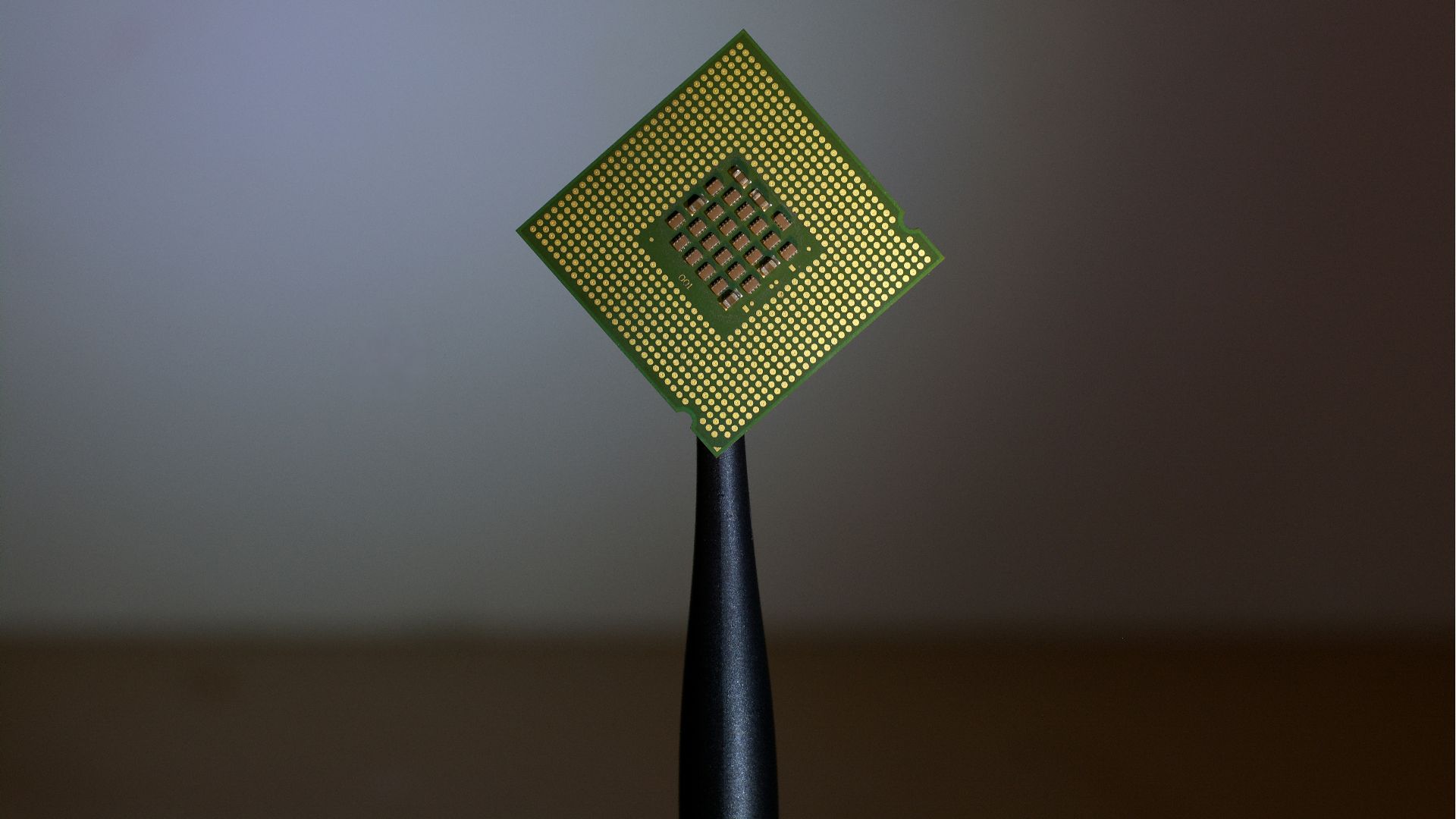 person holding computer cell processor