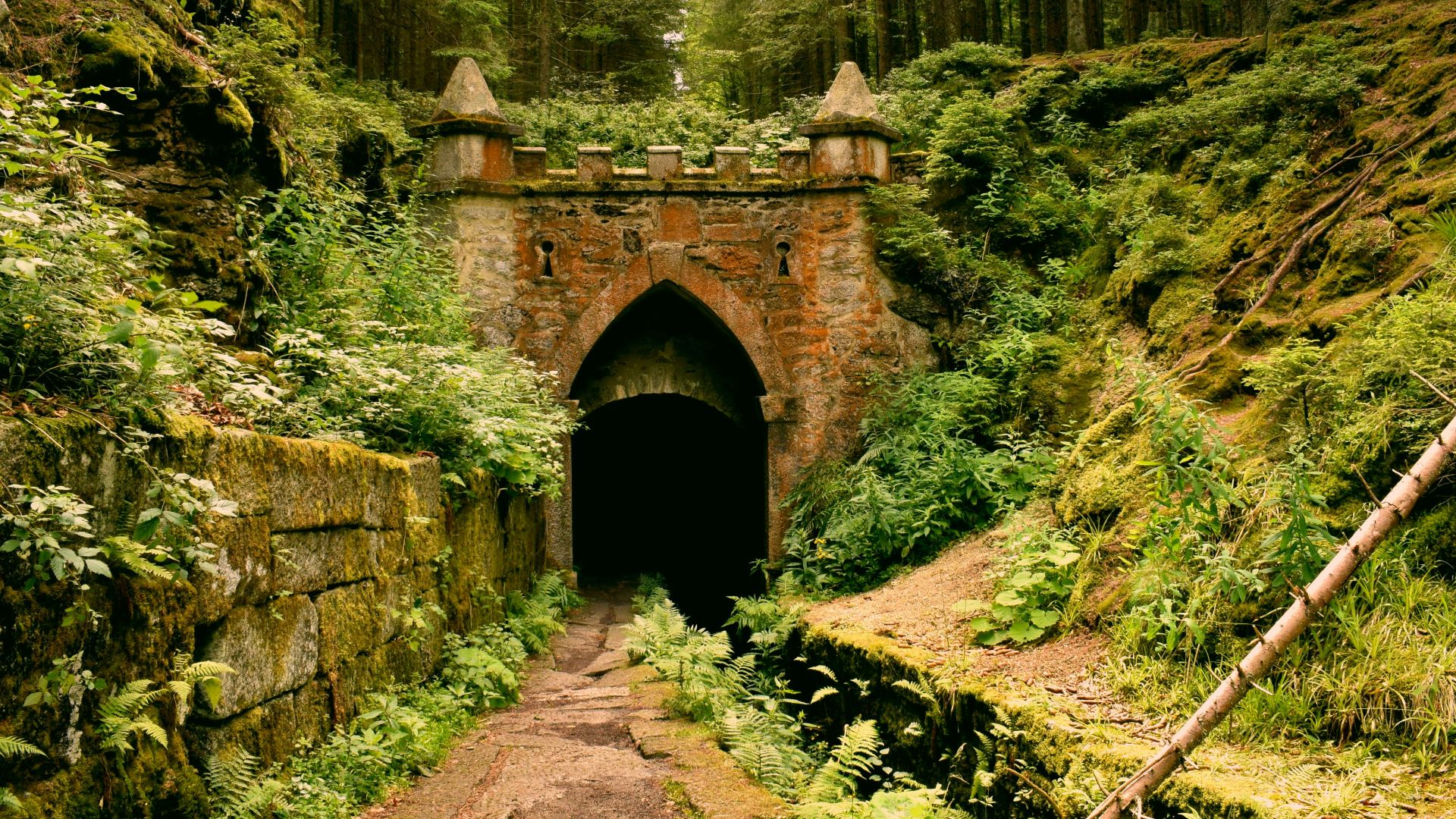 gray concrete tunnel under green trees