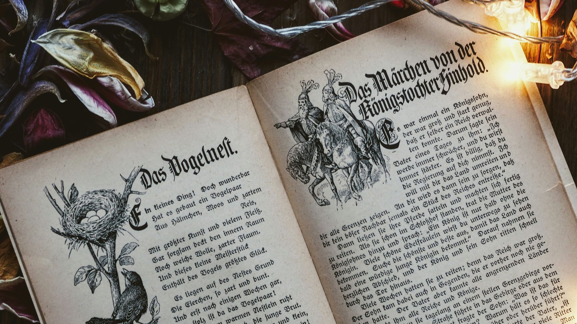 book open surrounded by lights and leaves