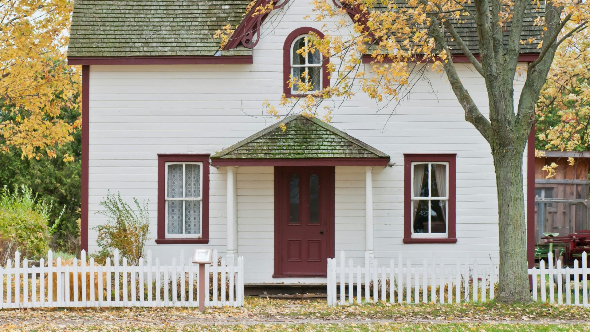 white house under maple trees