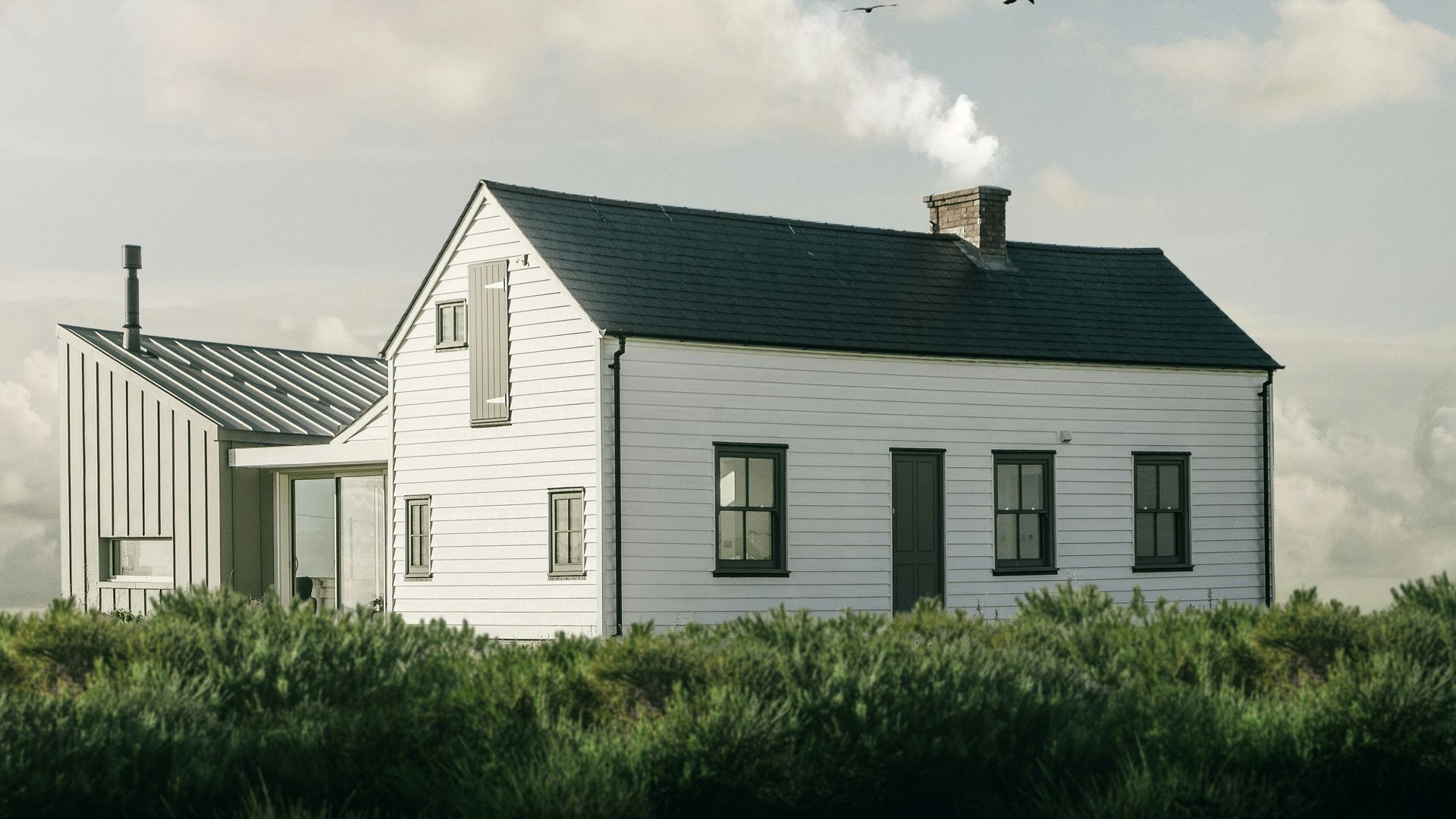 birds flying above white and gray house during daytime