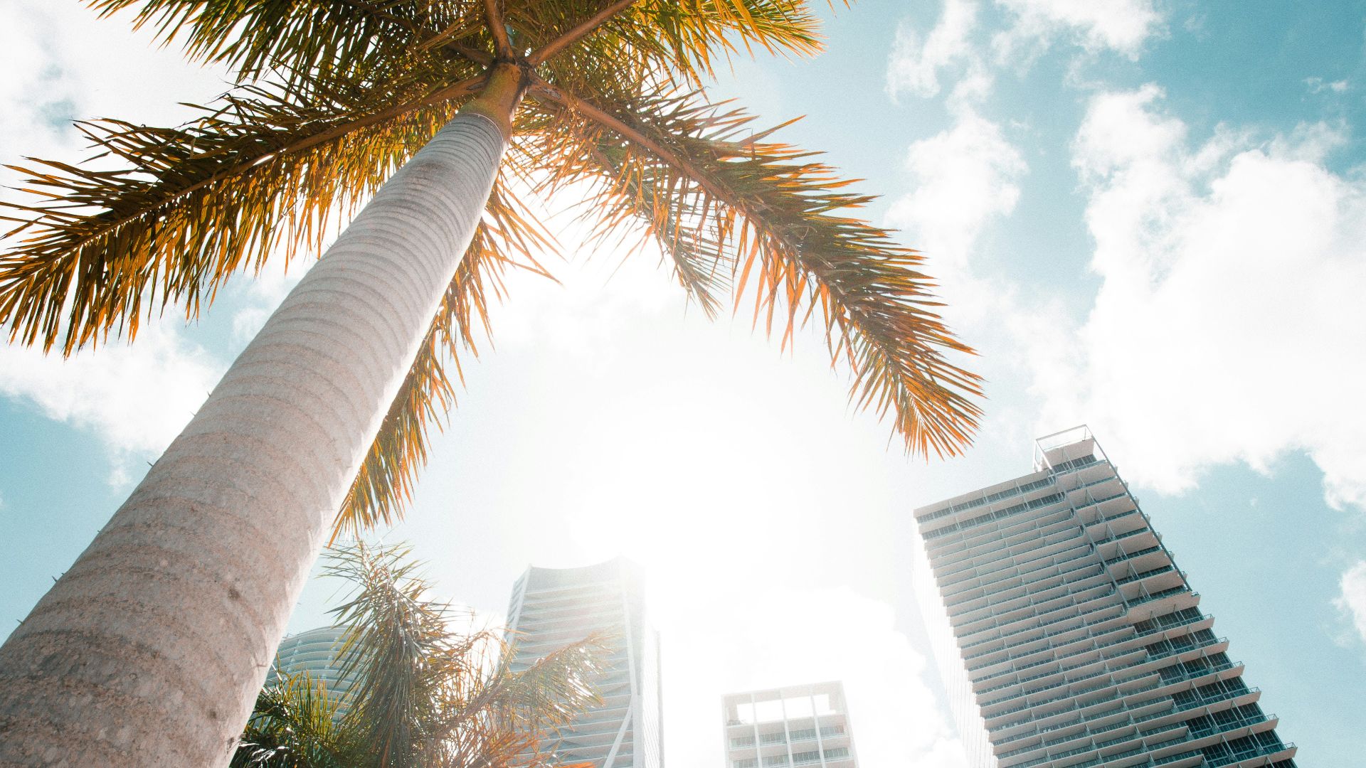 low angle photography of high rise building