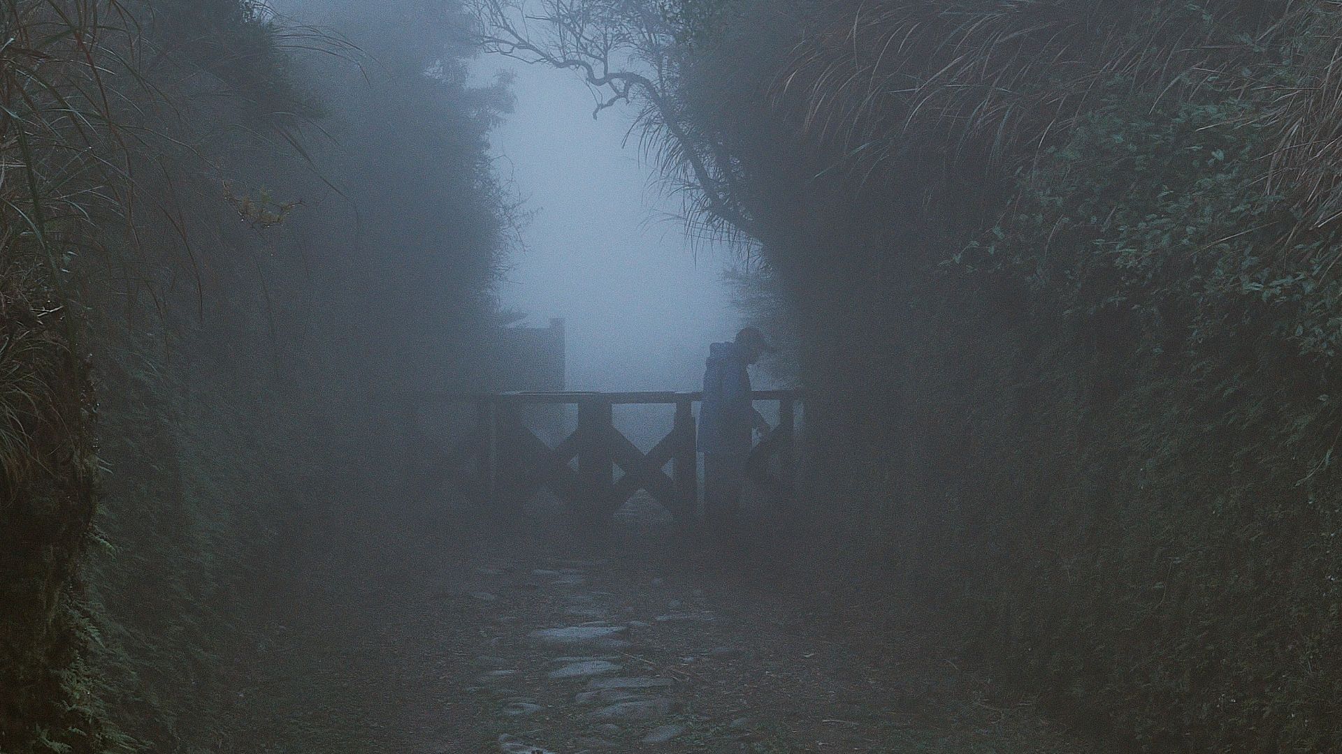 a foggy path leading to a wooden bridge