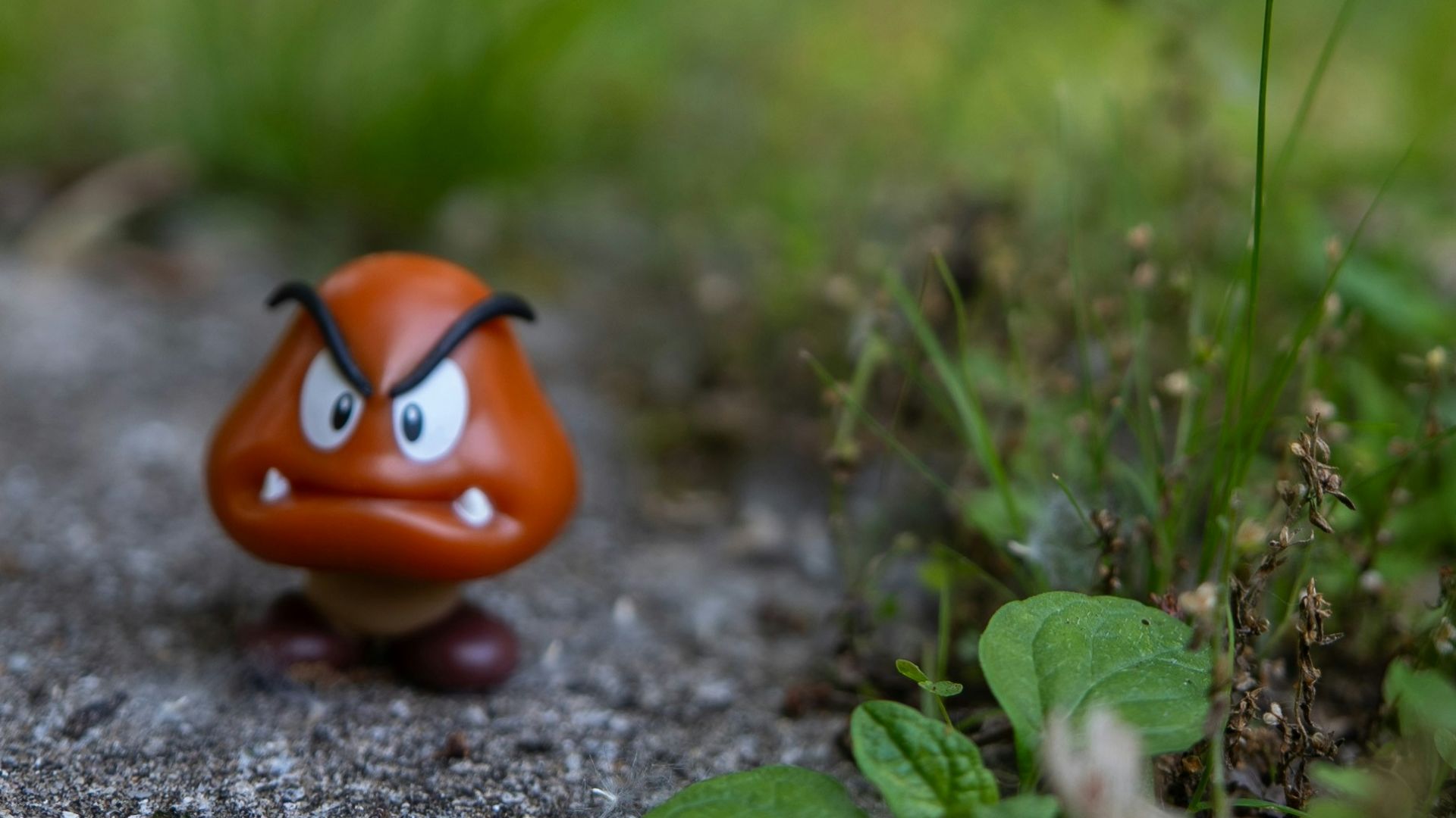 Two nintendo characters standing on a path.