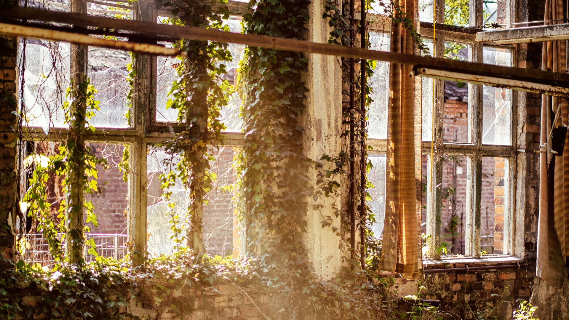 house and plats during daytime