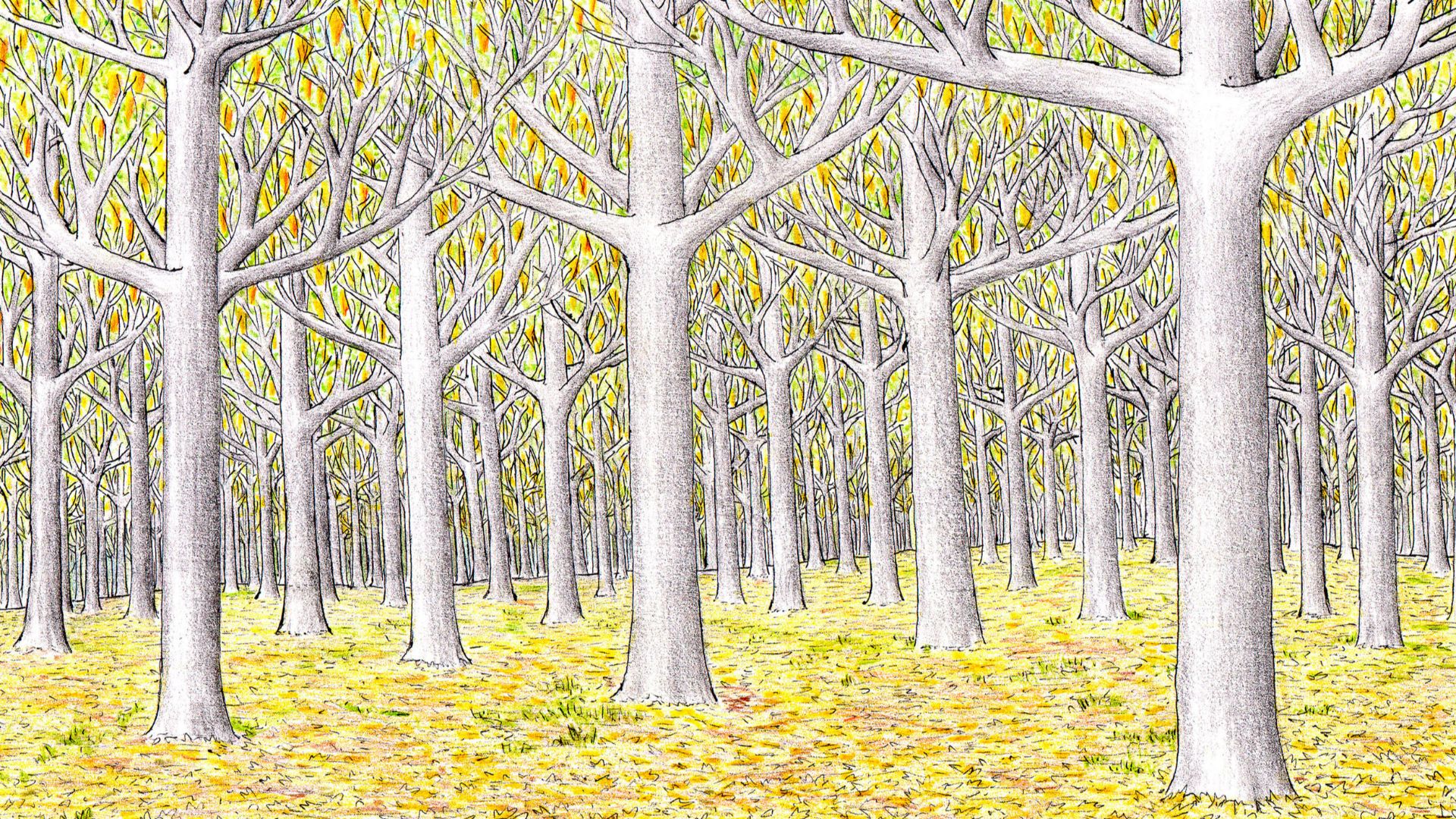 File:Lothlorien.jpg