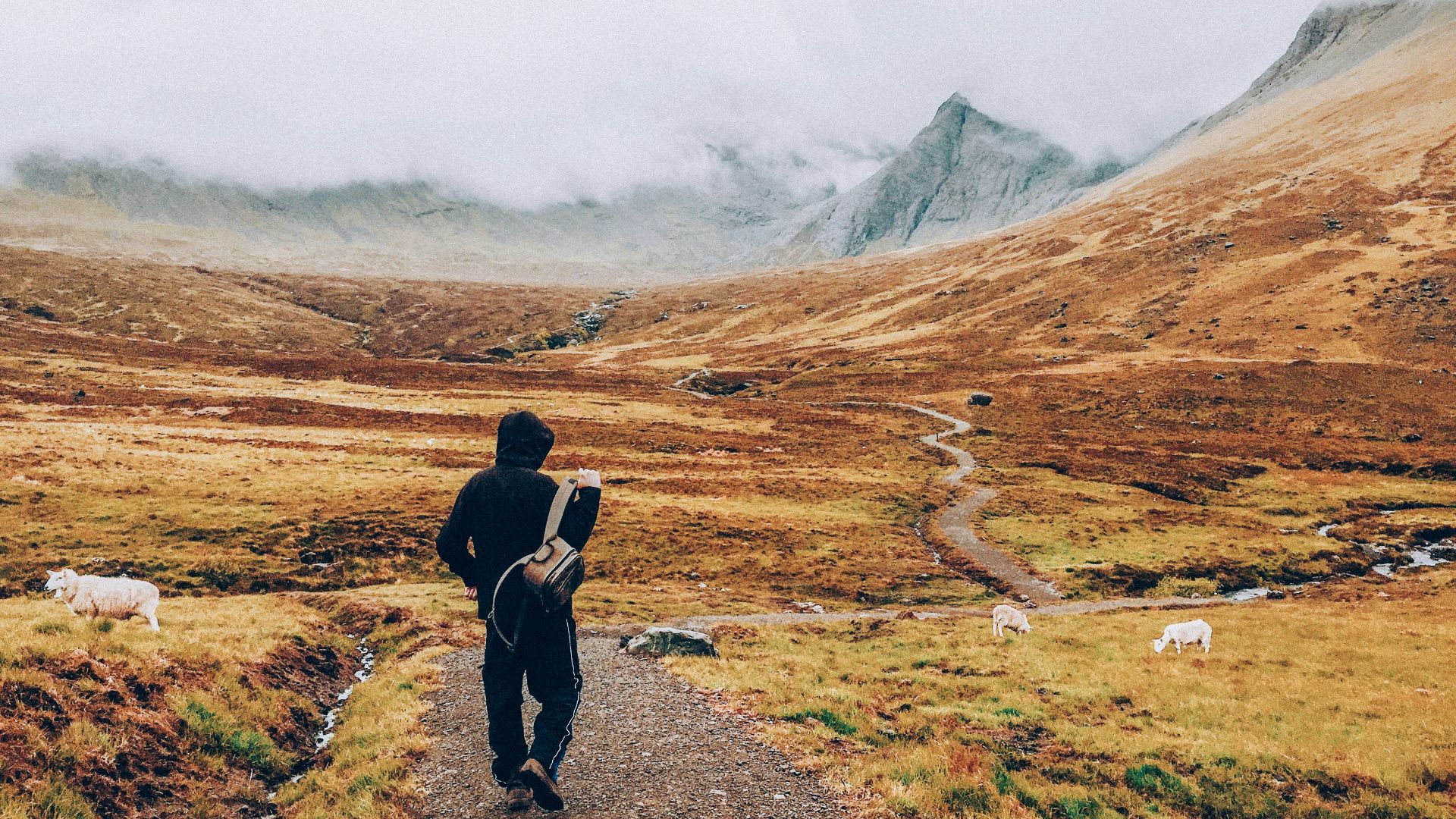 man walking on road towards mountain