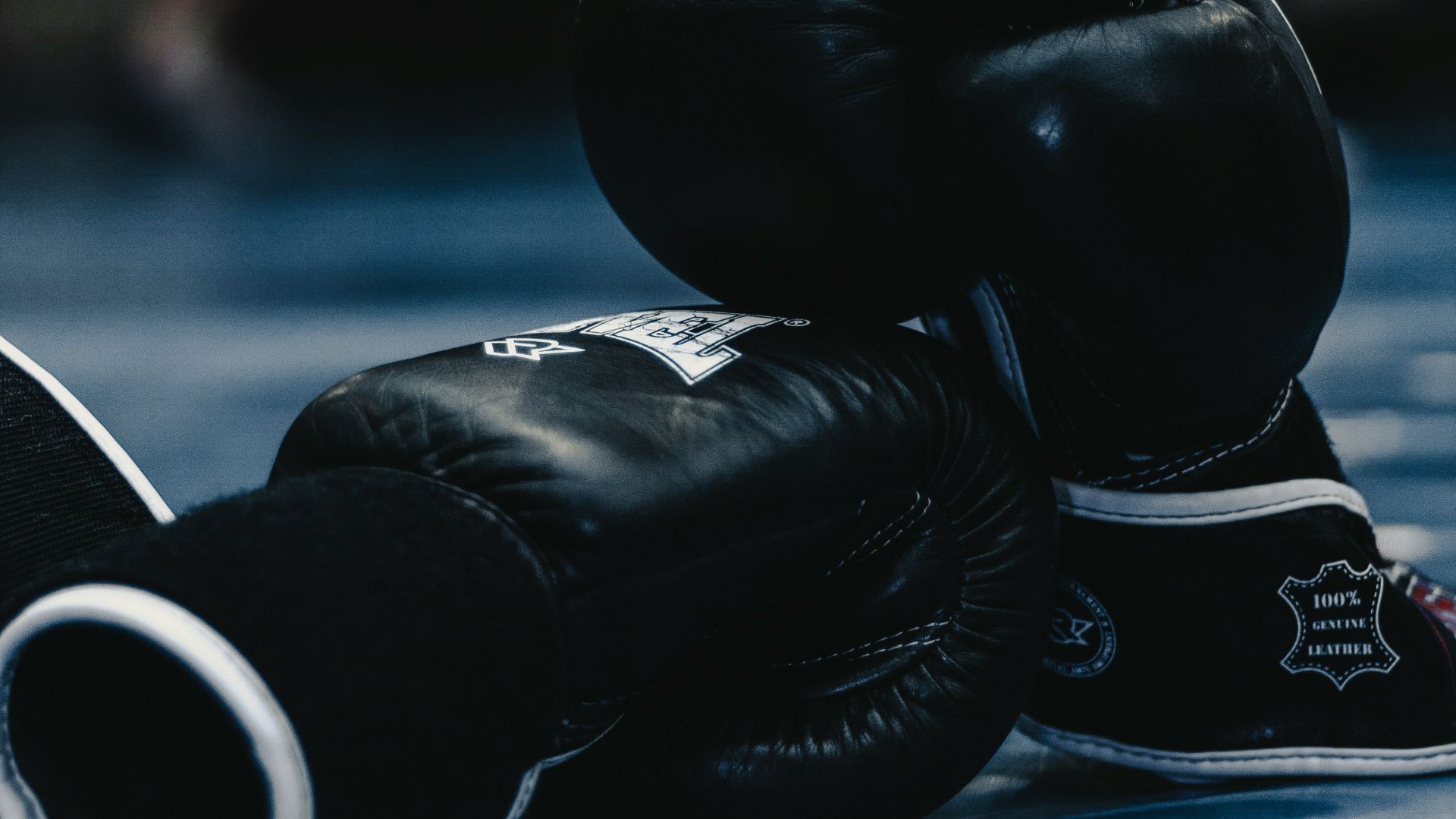 pair of black boxing gloves