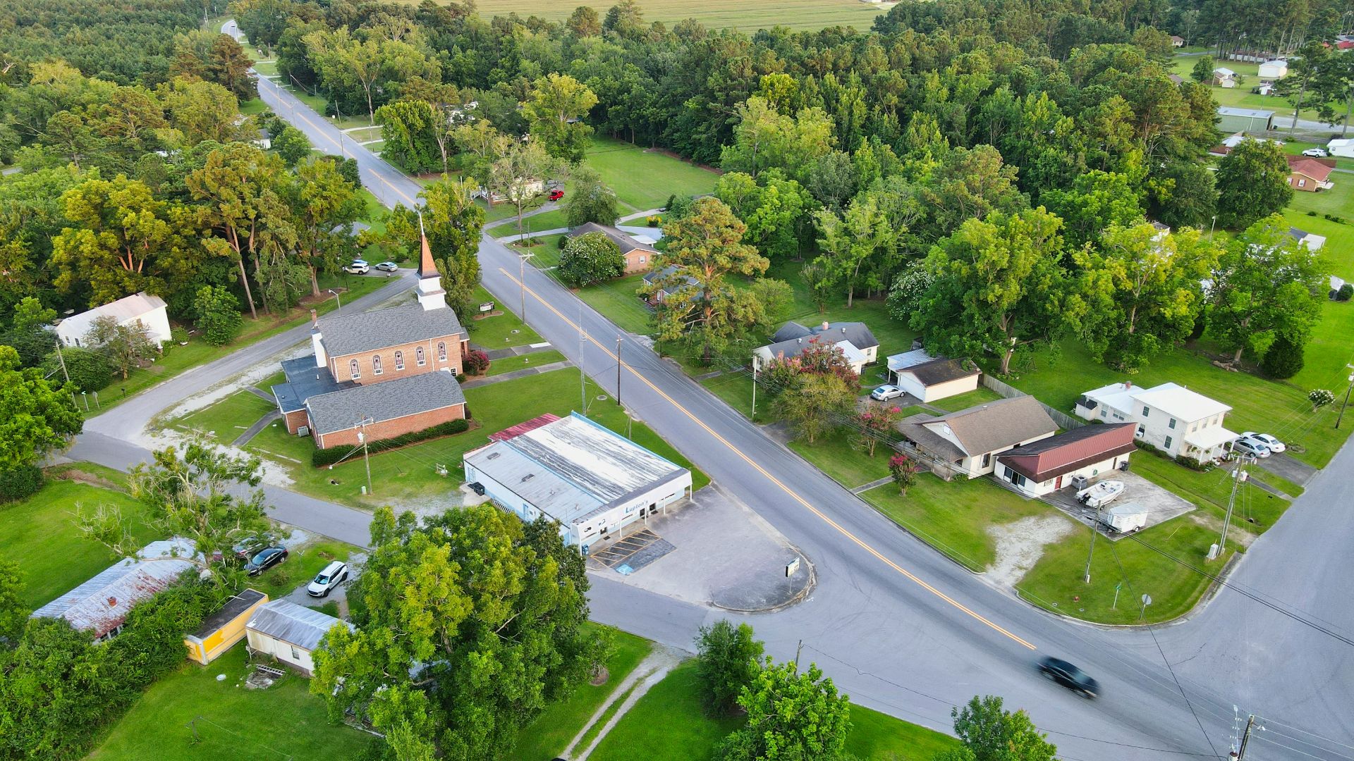 aerial view of green trees and houses during daytime