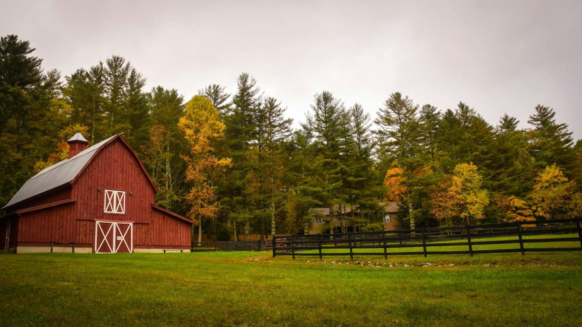 barn surrounded by trees