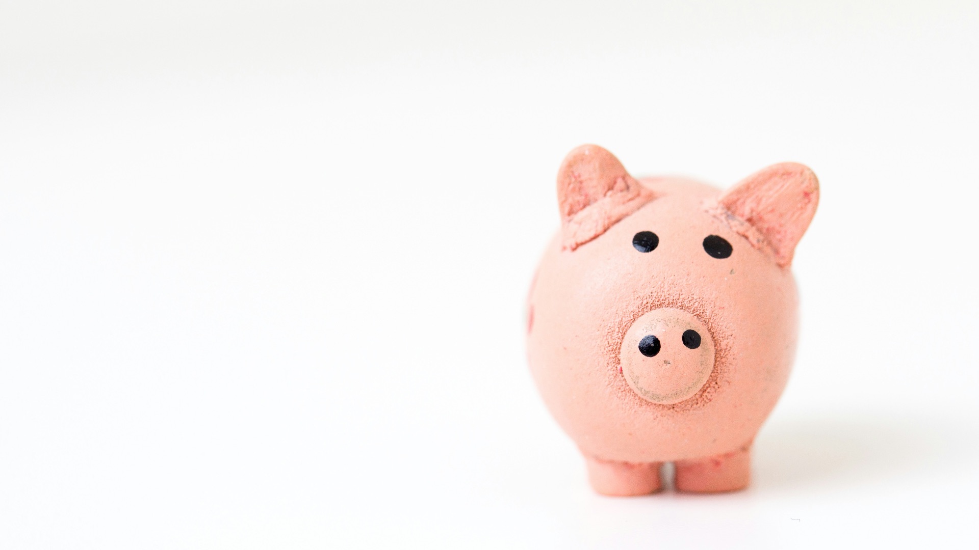 pink pig figurine on white surface