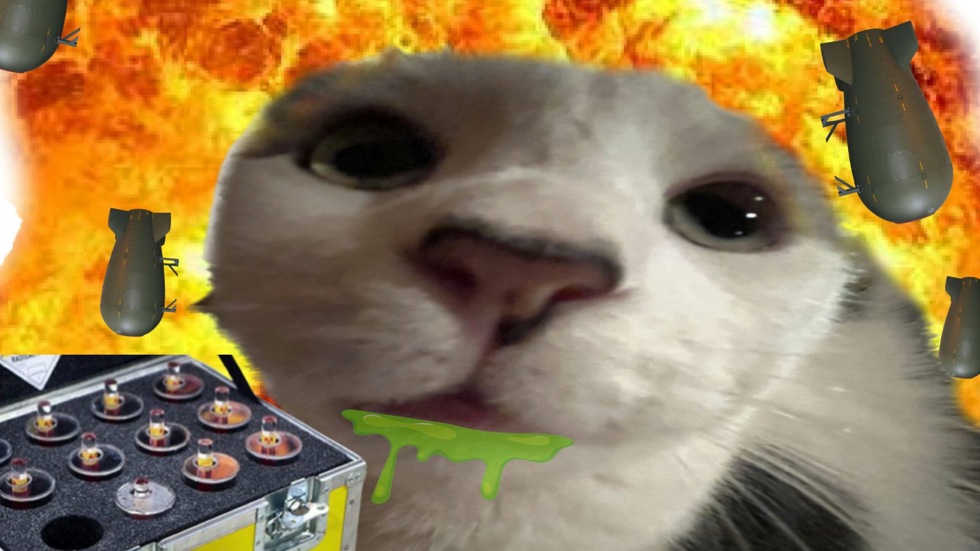 a white cat with a yellow box in front of a fire