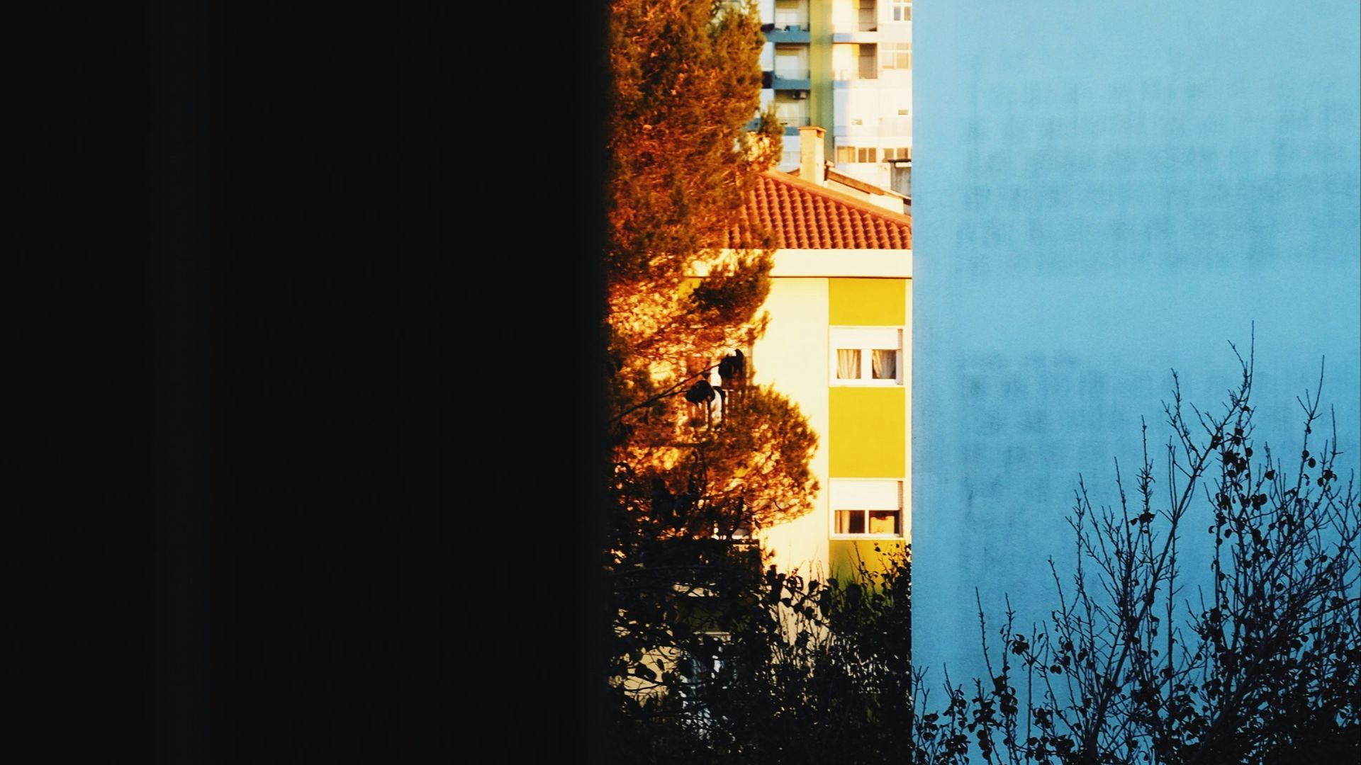 a view of a building through a window