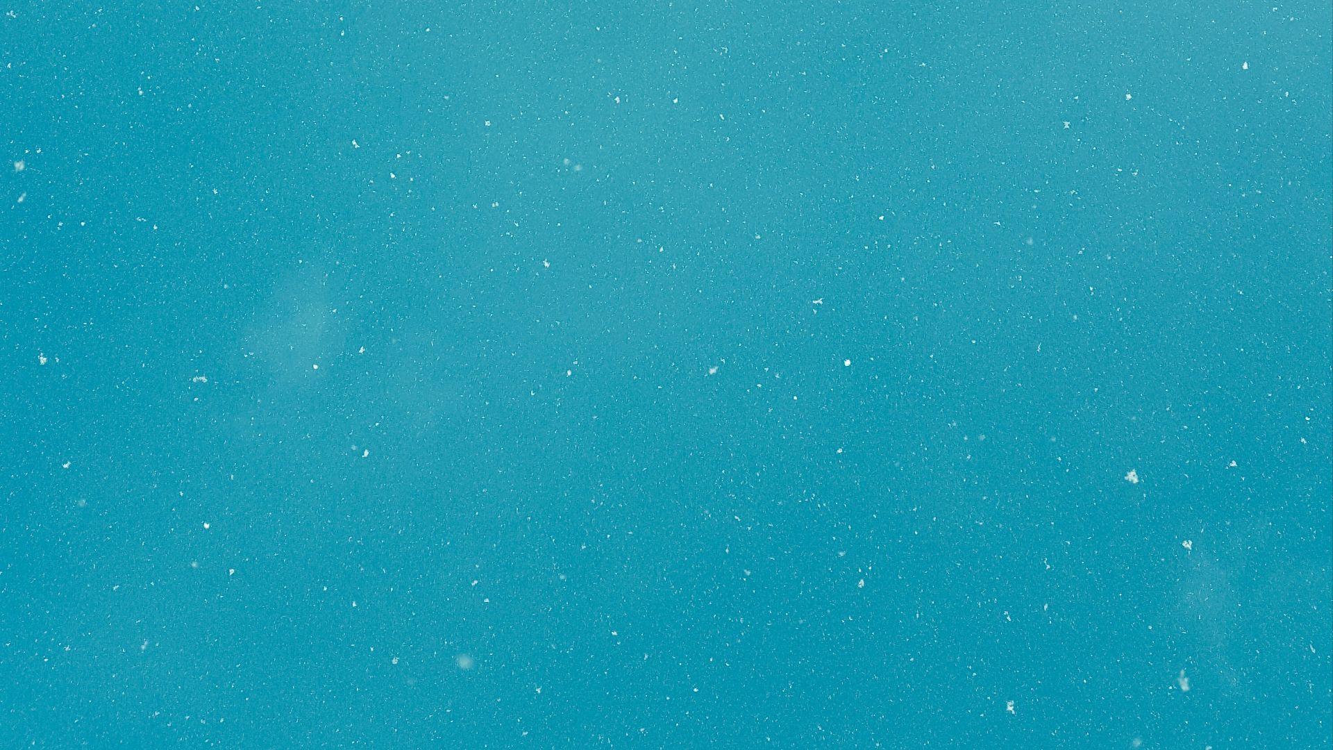 1777660457e0506f48b3cf5e2f16ee398d67e303d8a736cef8.jpg