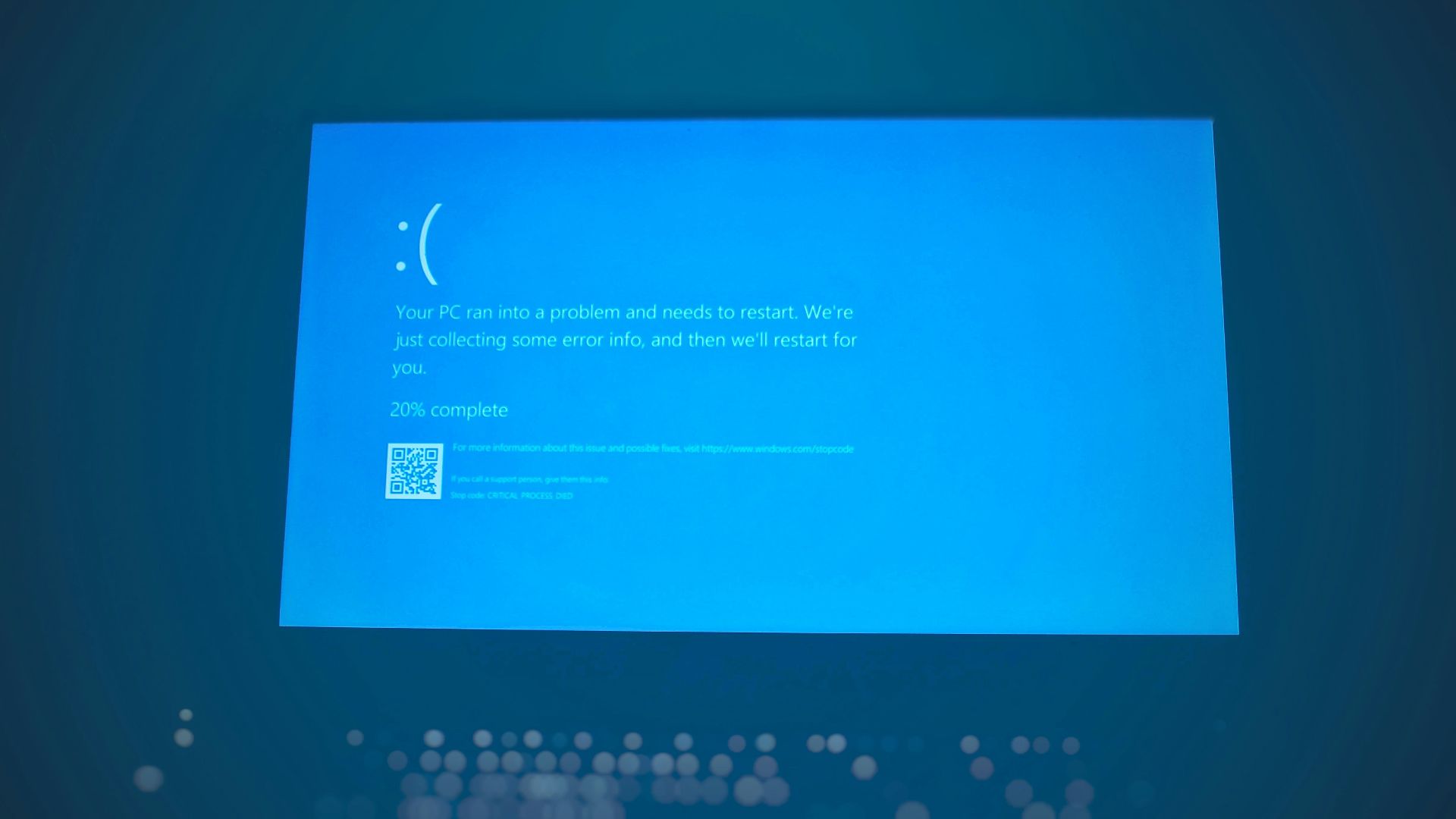 1779728030902d4b0fbf4e43a274e1ba787fe12049e9c1e653.jpg