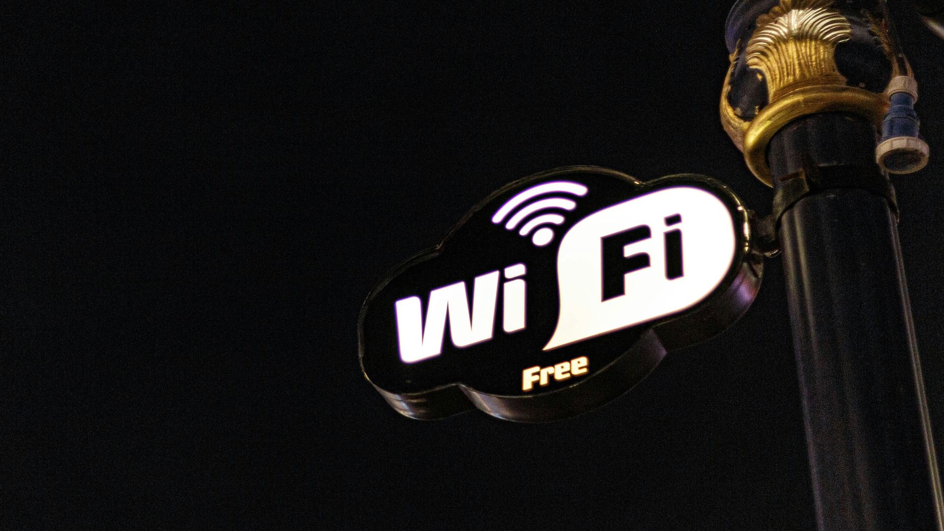 17816236658e49c1c115707feddc177abdf309600f18d395d7.jpg