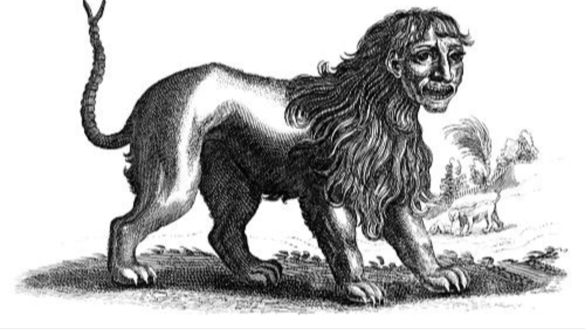 1782150515945f0ab2e8e74f83d9e060961b2c4f20e7a4a535.jpg