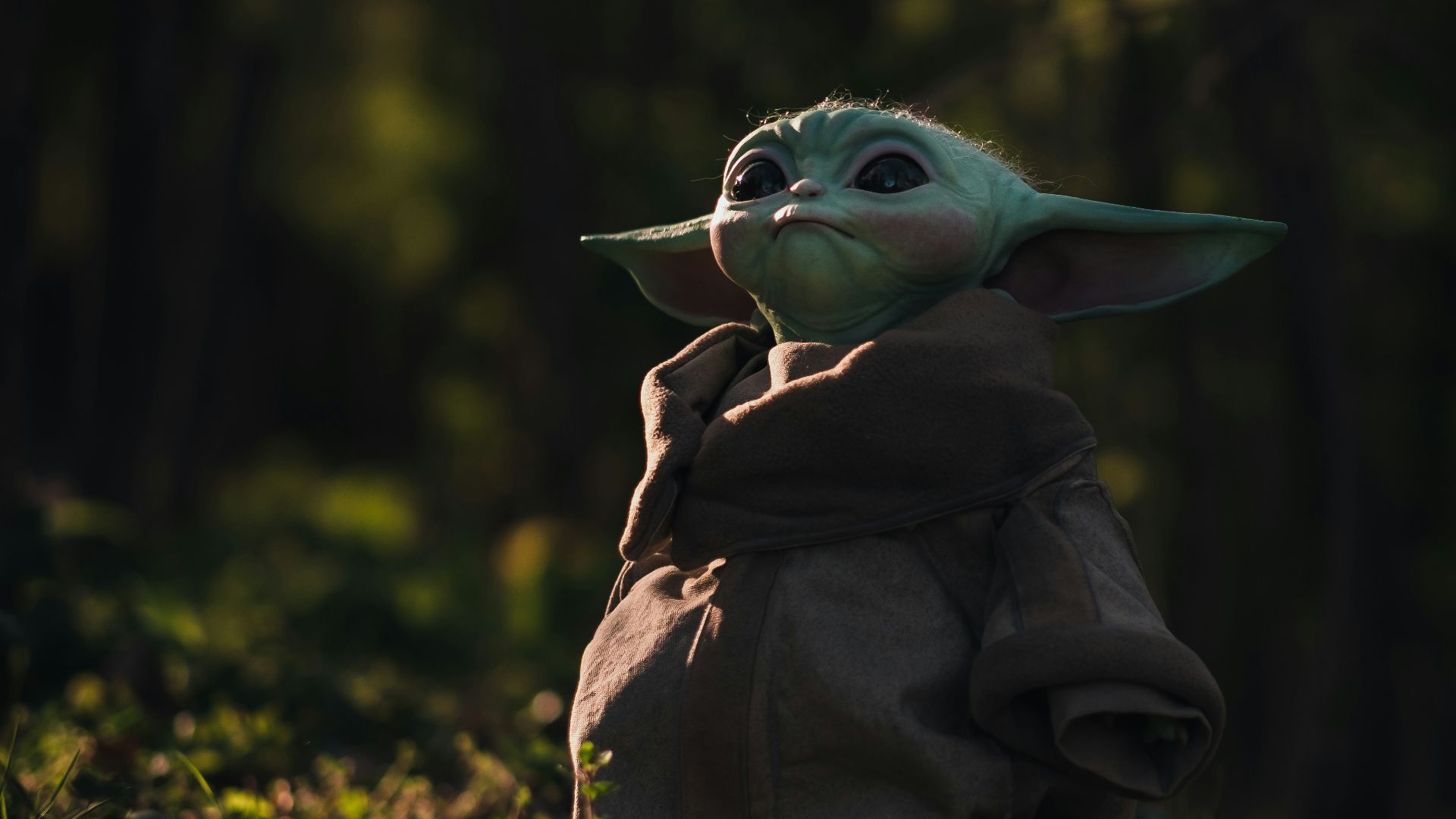 1780594668e5445bb821dca2007466c3a322316ca8fed4bbdb.jpg