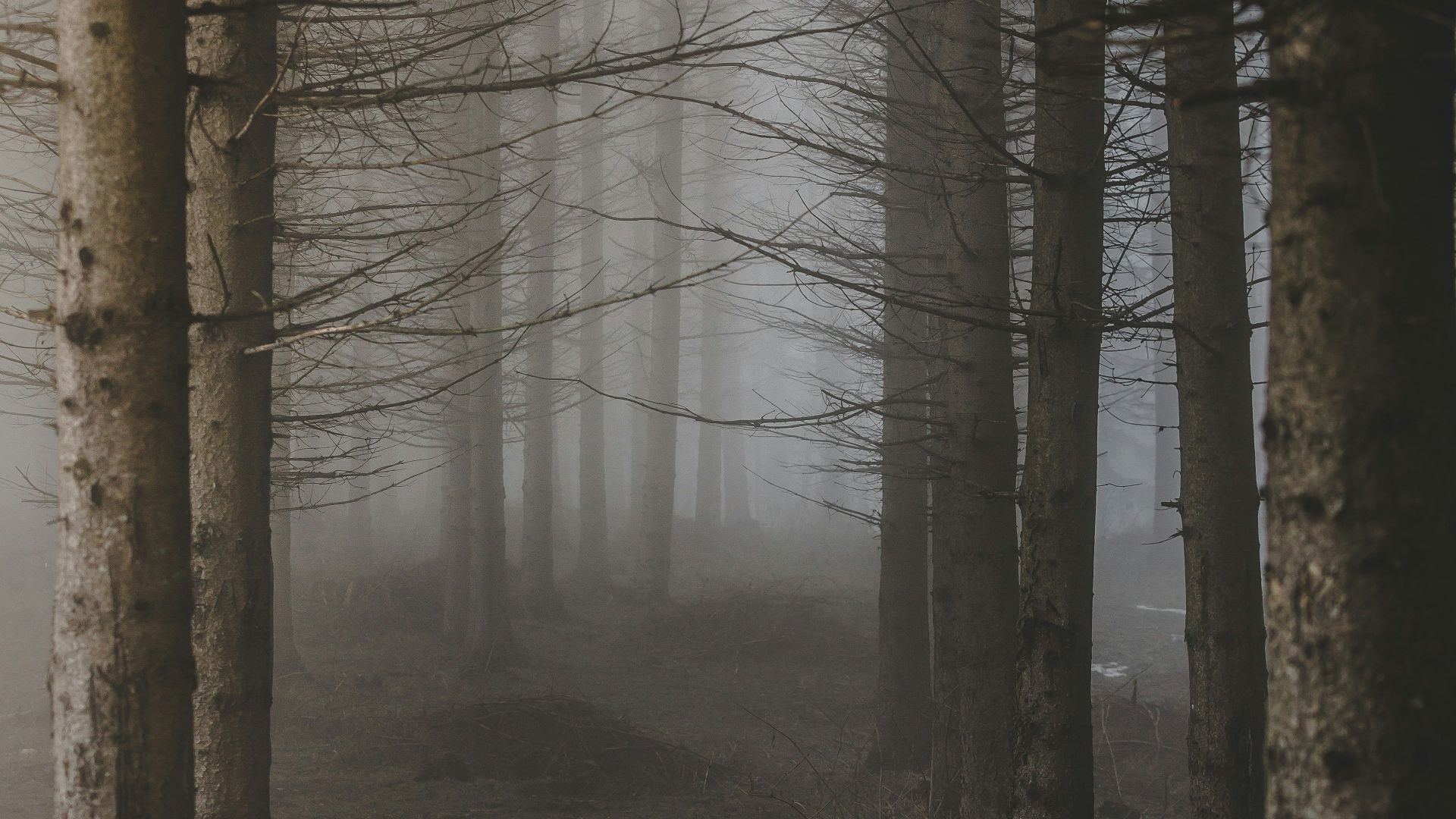 1784132798a7e3eb7edf41aa139c42dd18af31636d2db6ea83.jpg