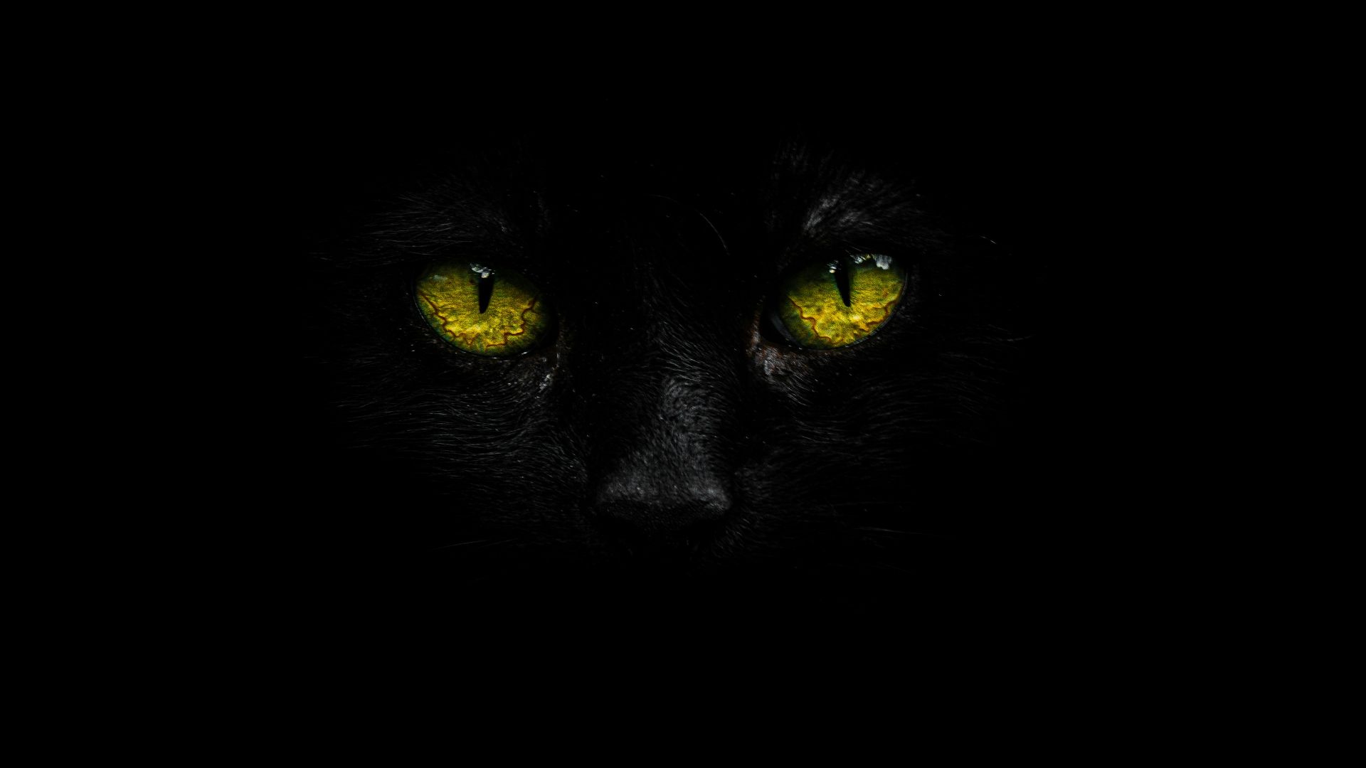 1784148055a58acf0638121d5cfe2fbbc153084f2c970bde8c.jpg