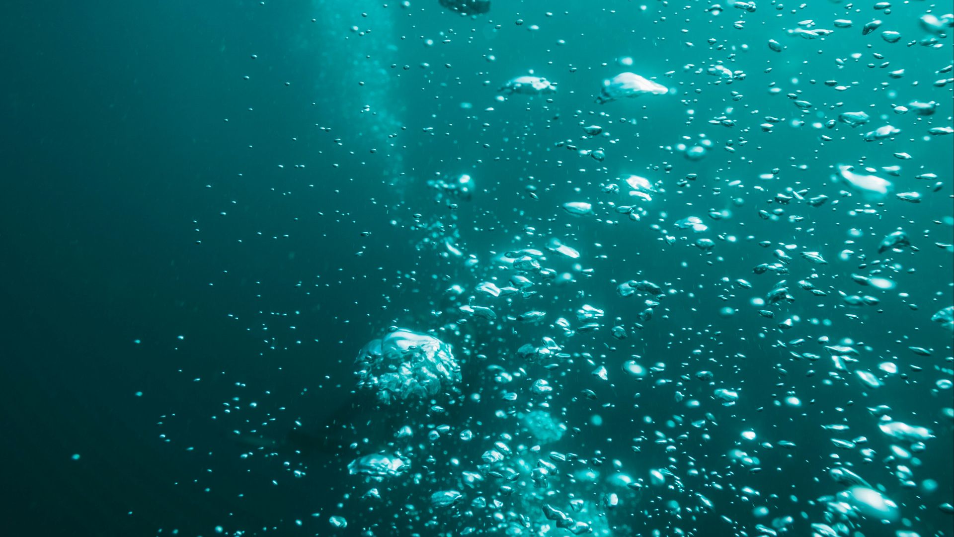 1784569722123d52d2046426162de759c0946b39605c94e1ab.jpg