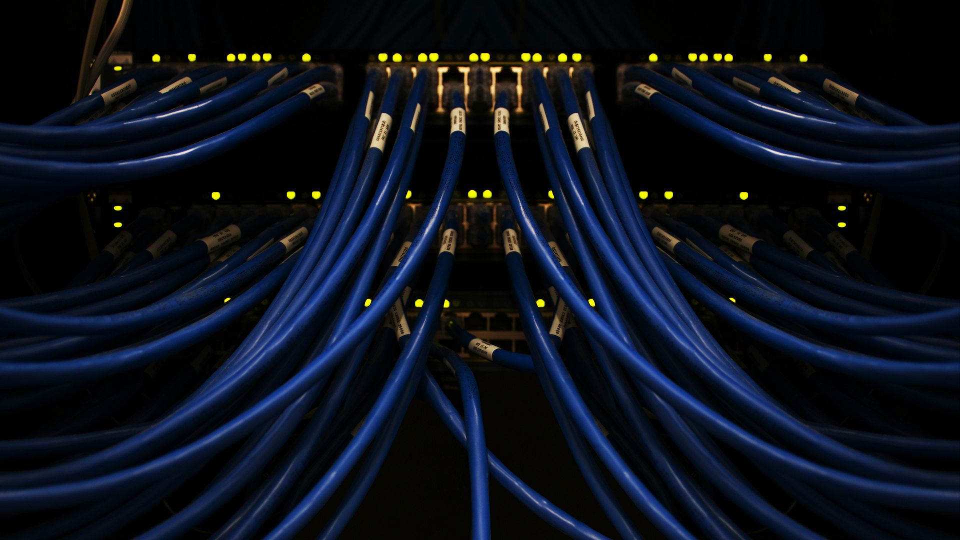 1787319465a5b4e9611ac2421b701d682849b9fbba25ba1783.jpg