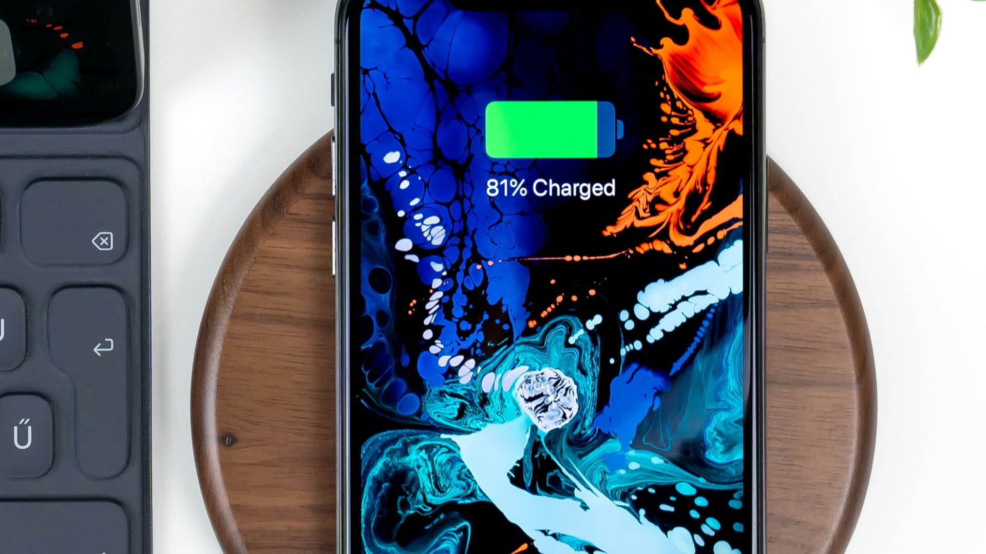17858614085c2c6d6679bbd8bdaf3f4d04362381901227f2d3.jpg