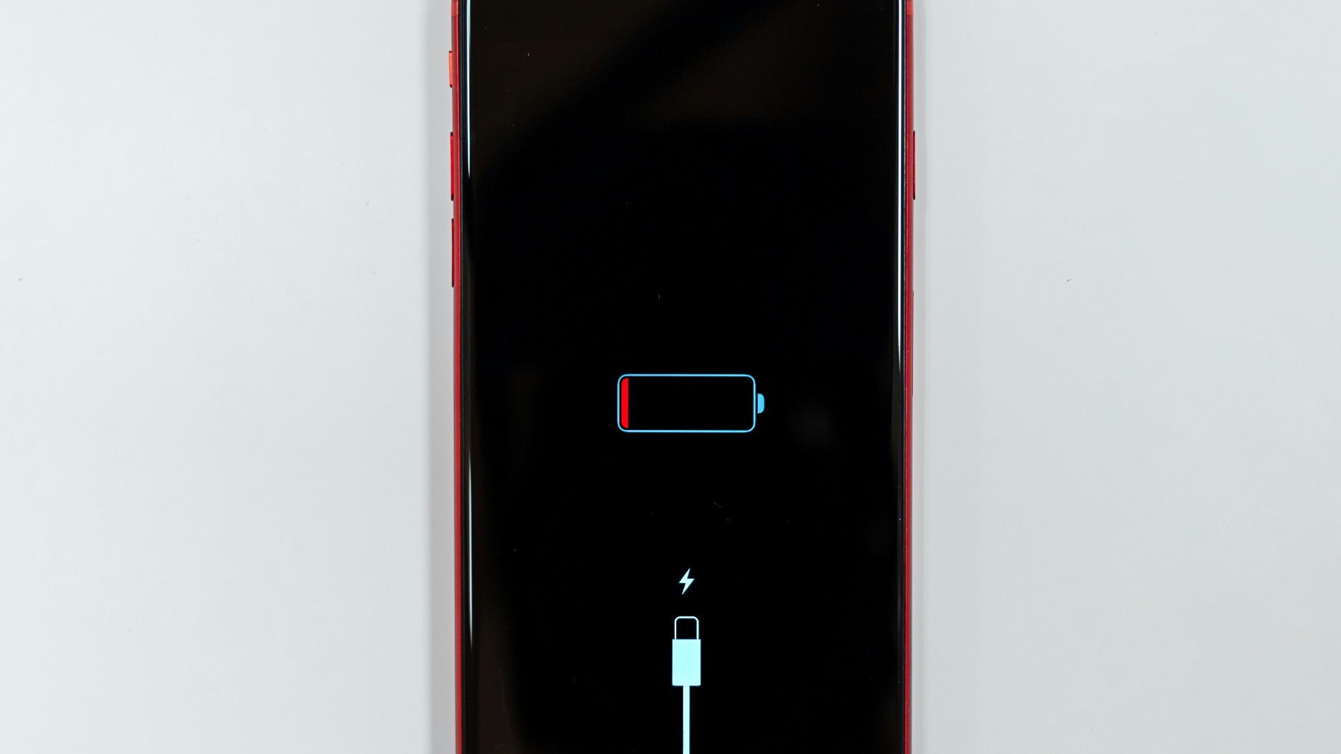 1785861891f01ace3510a4e4e4d65e2ba52006e0e4fa4e9c34.jpg